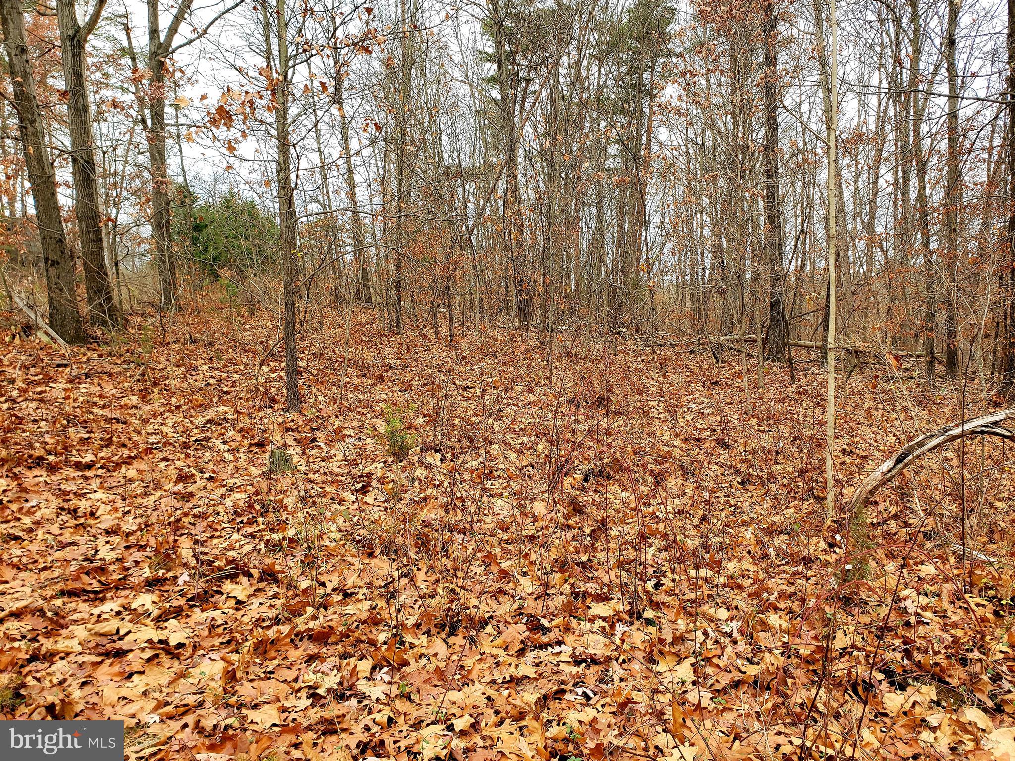 Off Gunpowder Lane Inwood, WV 25428 - Photo 8 of 12