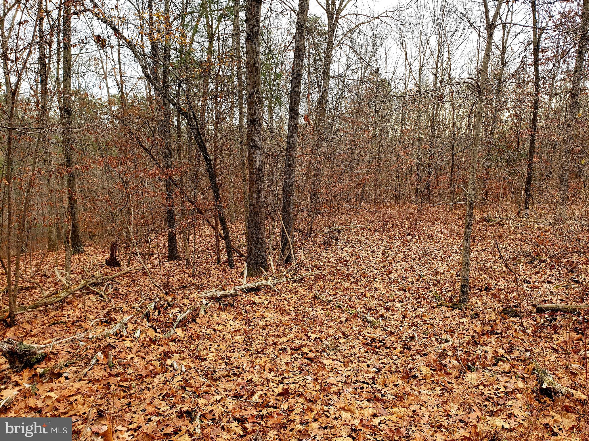 Off Gunpowder Lane Inwood, WV 25428 - Photo 9 of 12