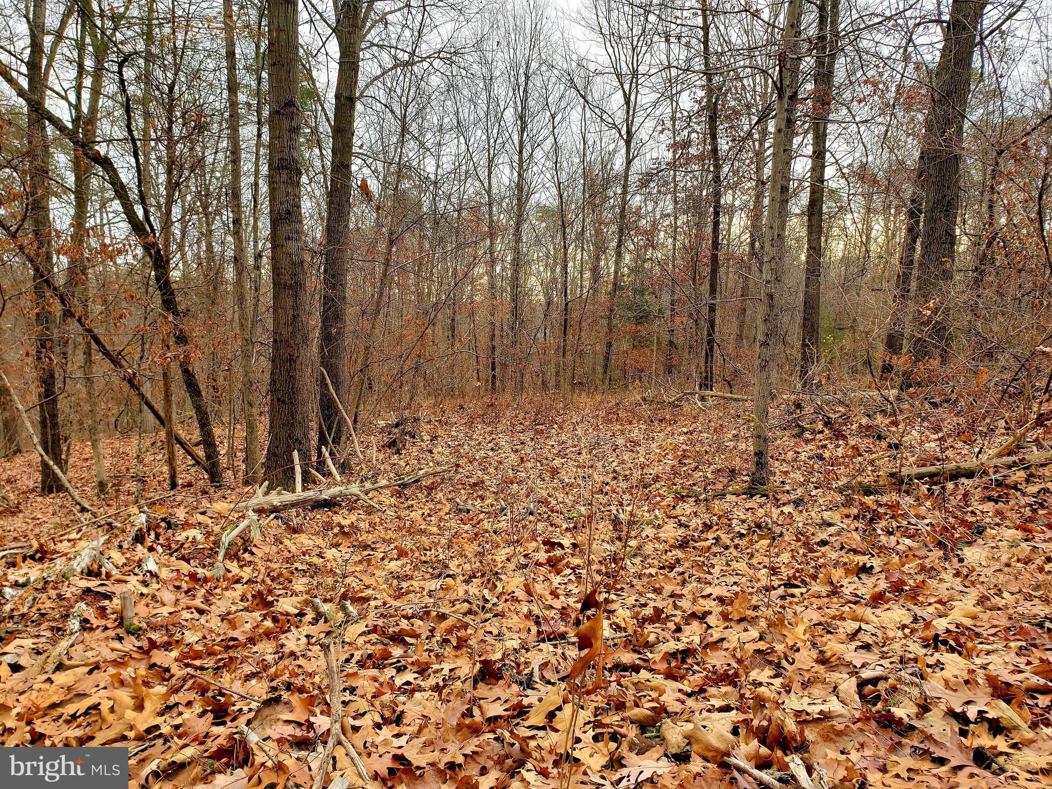 Off Gunpowder Lane Inwood, WV 25428 - Photo 10 of 12
