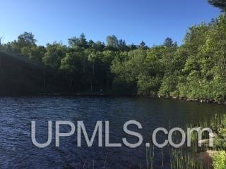 Tbd Cardinal Point Road Michigamme, MI 49861 - Photo 3 of 9