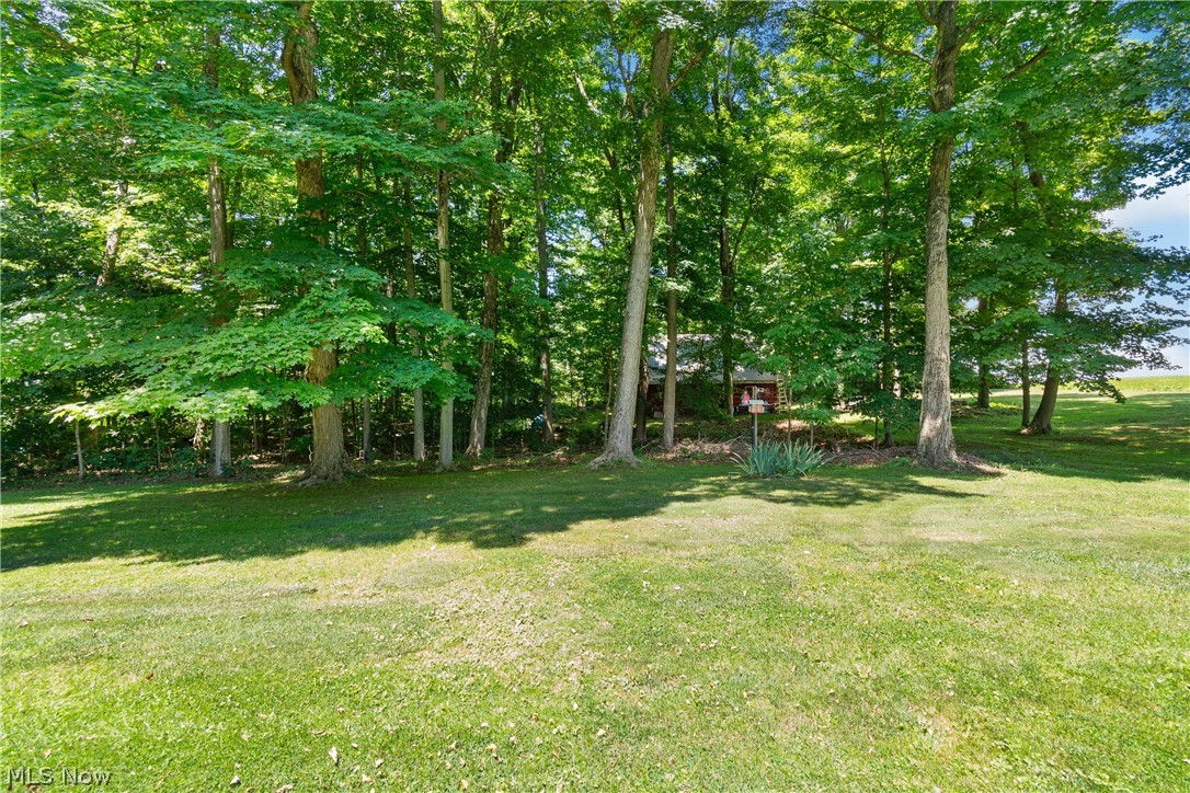 5510 Steiner Road Sterling, OH 44276 - Photo 35 of 38