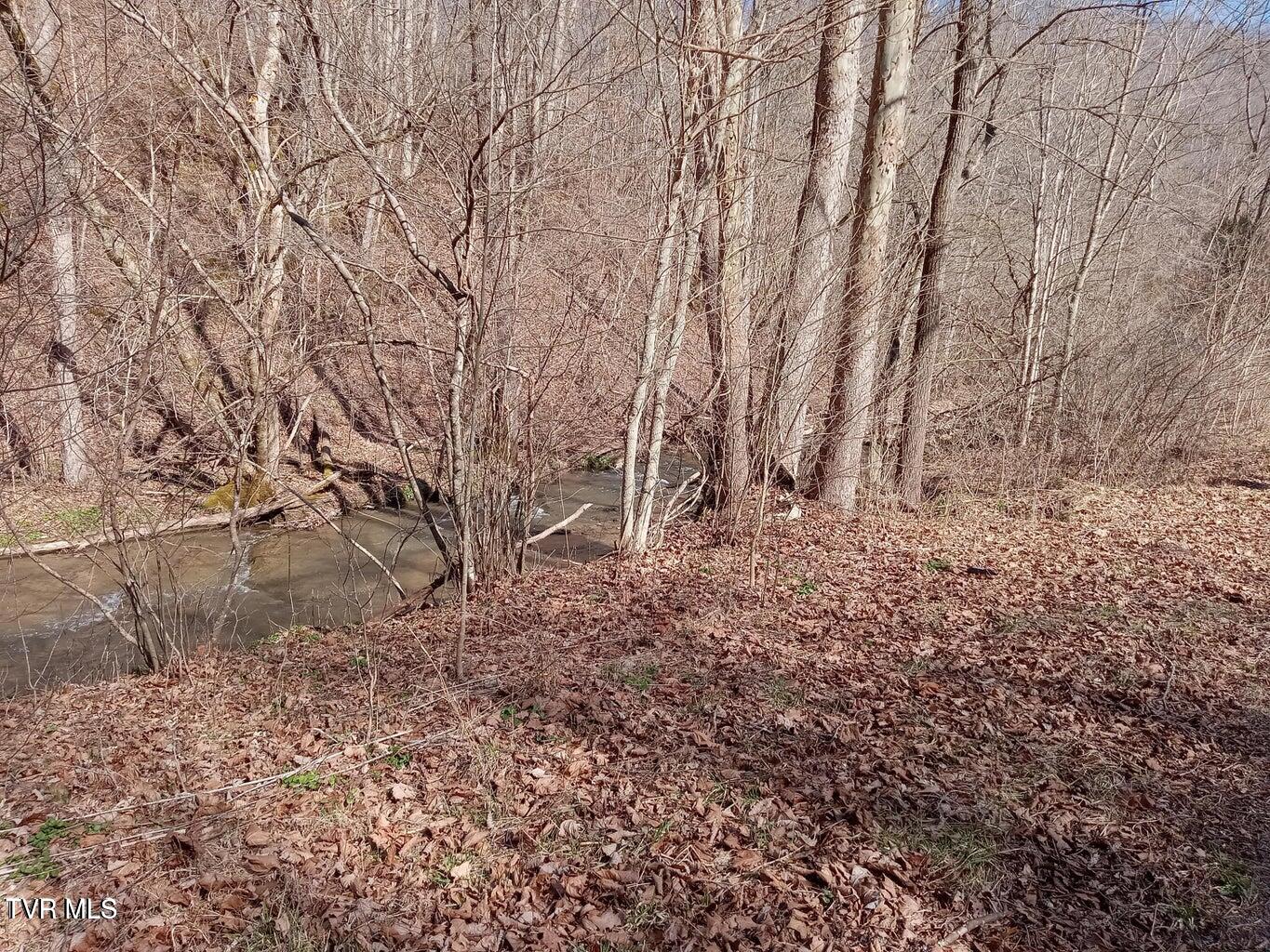 Tbd Toole Creek Road Abingdon, VA 24210 - Photo 3 of 25 *