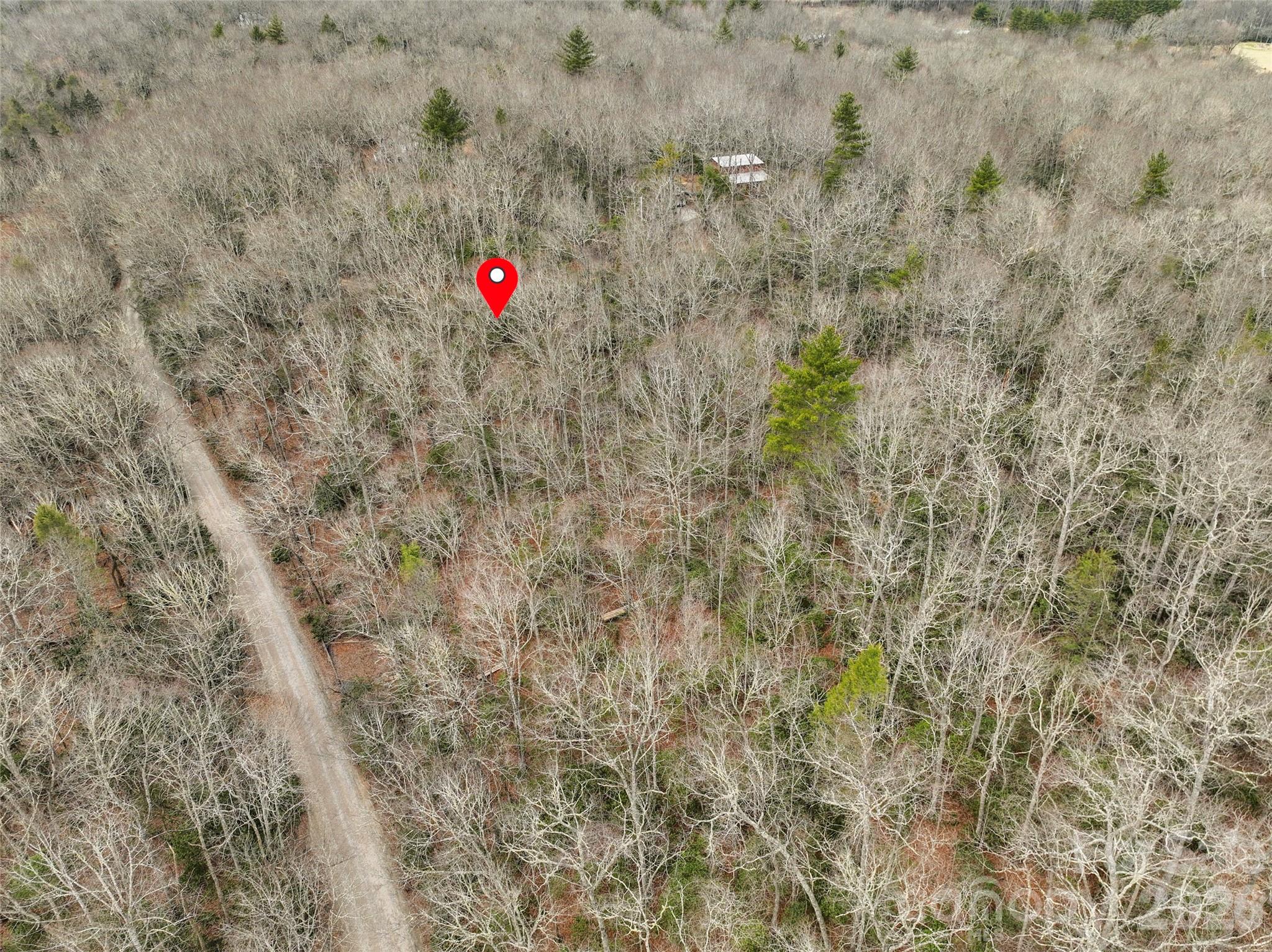 Lot 12 Patton Thicket Road Burnsville, NC 28714 - Photo 11 of 12