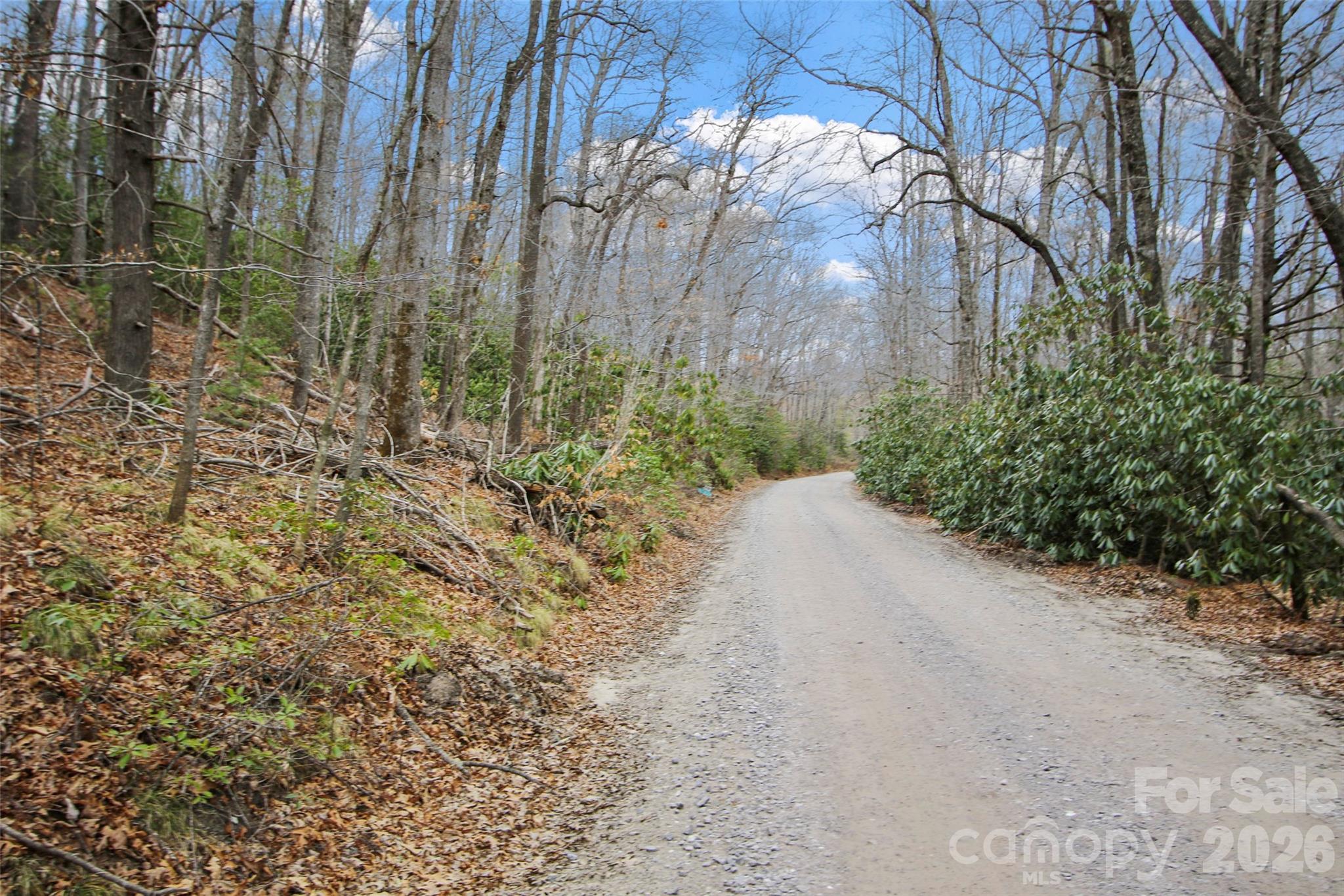 Lot 12 Patton Thicket Road Burnsville, NC 28714 - Photo 2 of 12 a view of a yard with a trees