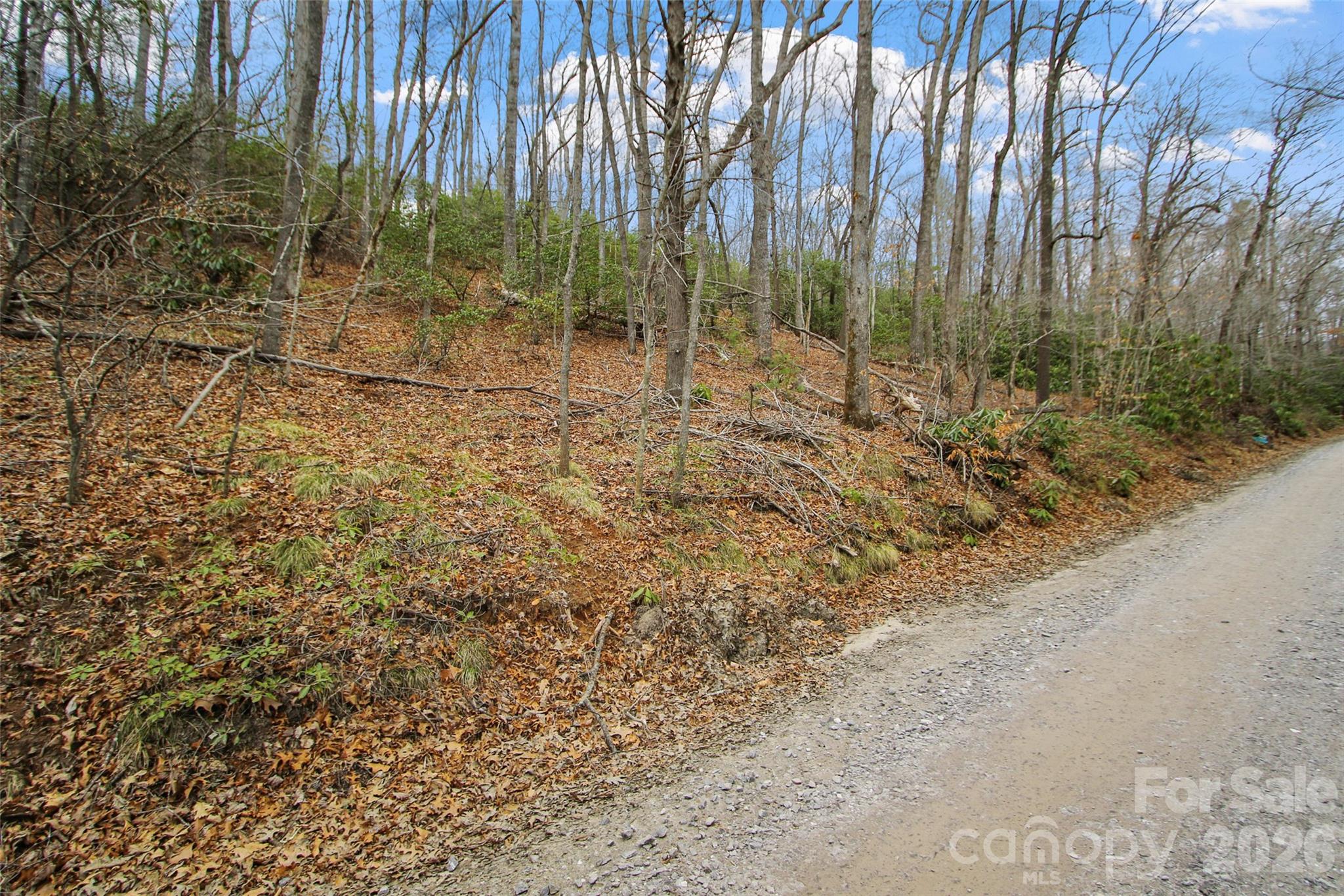 Lot 12 Patton Thicket Road Burnsville, NC 28714 - Photo 3 of 12 a view of backyard with green space