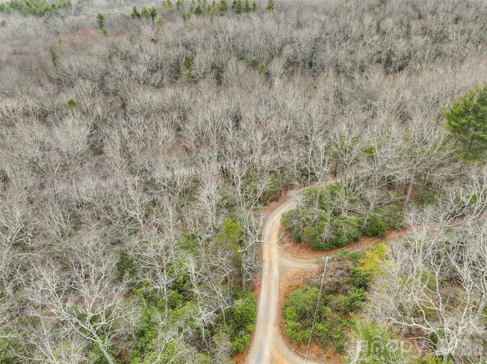 Lot 12 Patton Thicket Road Burnsville, NC 28714 - Photo 5 of 12 a view of a yard