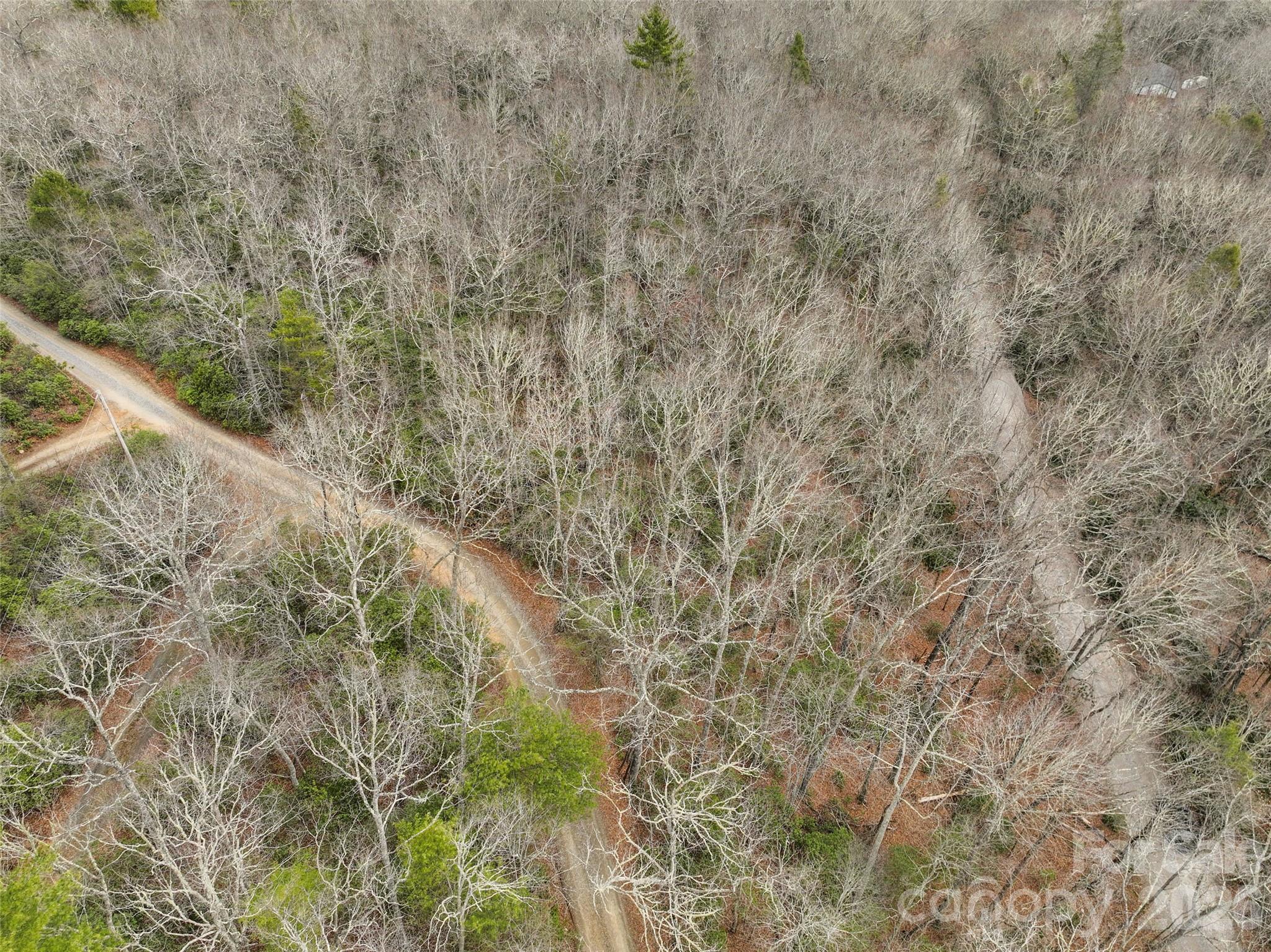 Lot 12 Patton Thicket Road Burnsville, NC 28714 - Photo 7 of 12 a view of a dry yard with trees