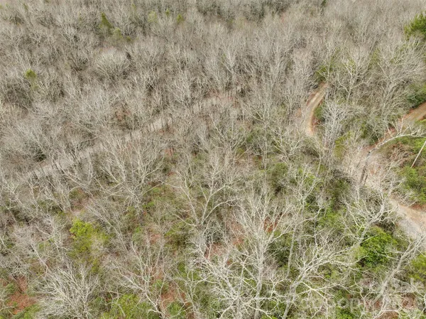 a view of a dry yard