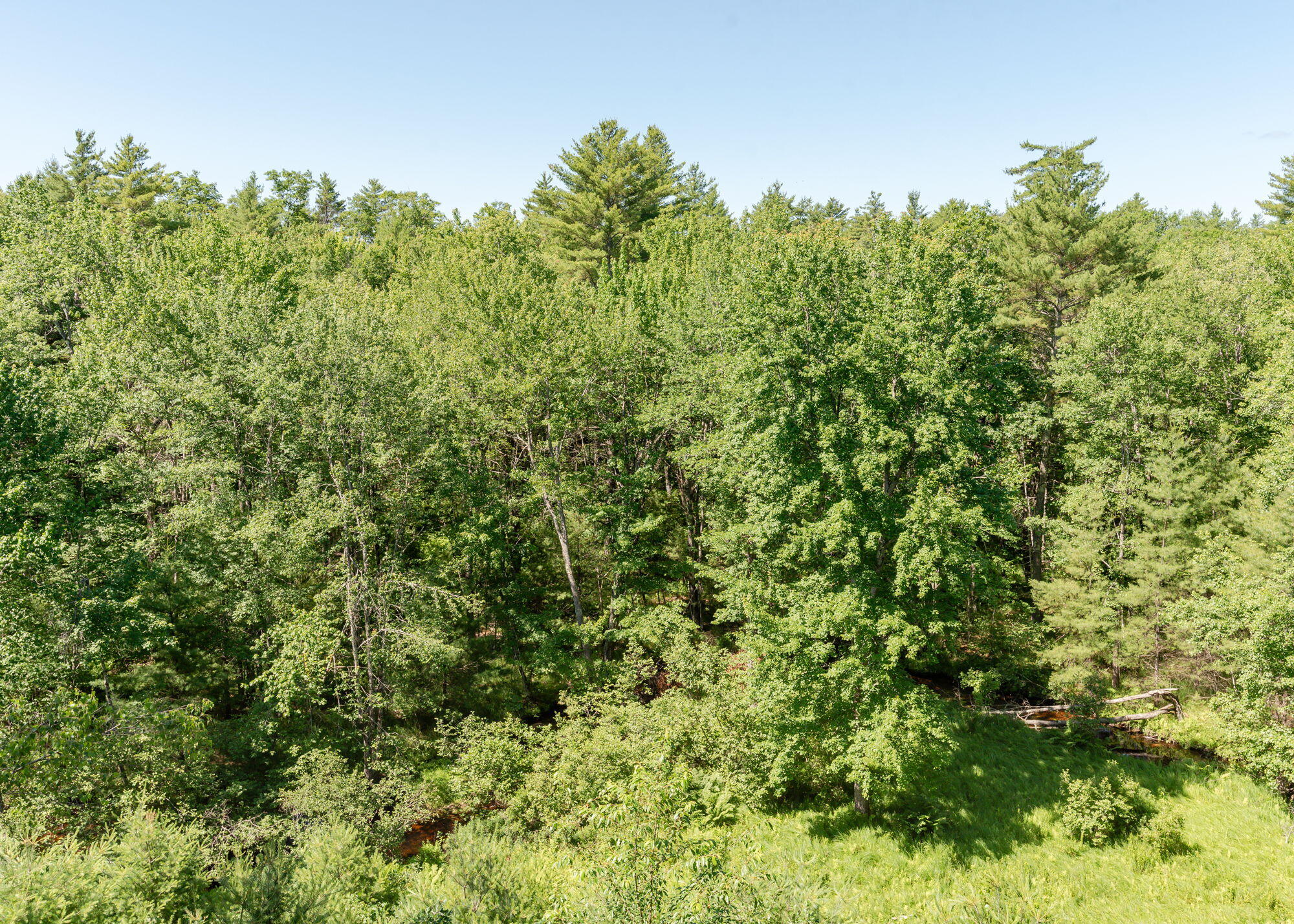 103 Hard Scrabble Road Hollis Center, ME 04042 - Photo 27 of 77 103HardScarbbleRd-Hollis-28
