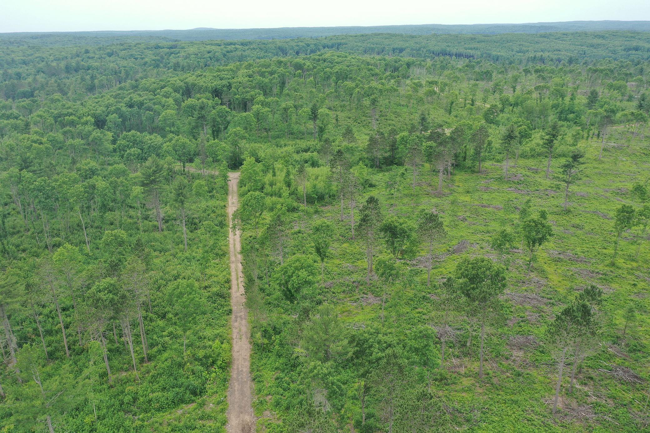Tbd North Larsen Road Hayward, WI 54843 - Photo 2 of 33
