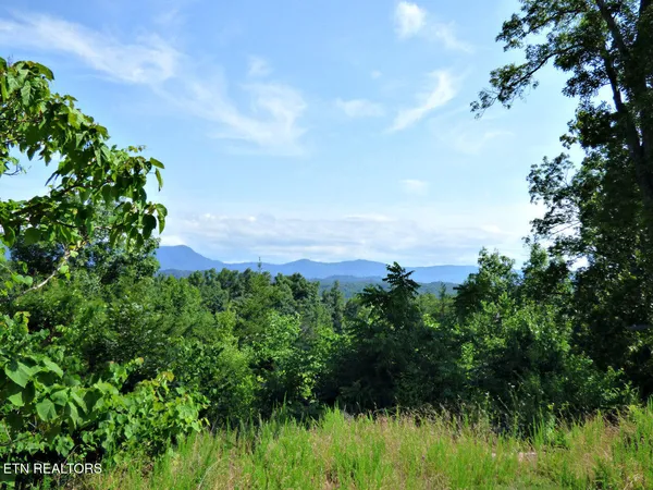$394,900 | Lot 32 Tranquility Trail, Dandridge, TN 37725