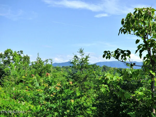 $394,900 | Lot 32 Tranquility Trail, Dandridge, TN 37725