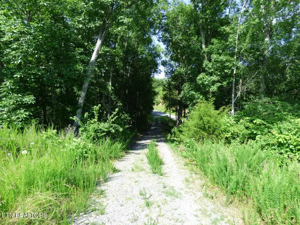 $394,900 | Lot 32 Tranquility Trail, Dandridge, TN 37725