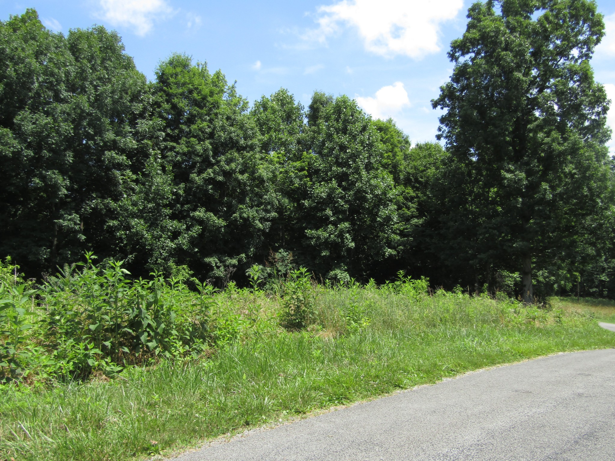 62 Tick Road Hilham, TN 38568 - Photo 1 of 48 Gallery Image 1