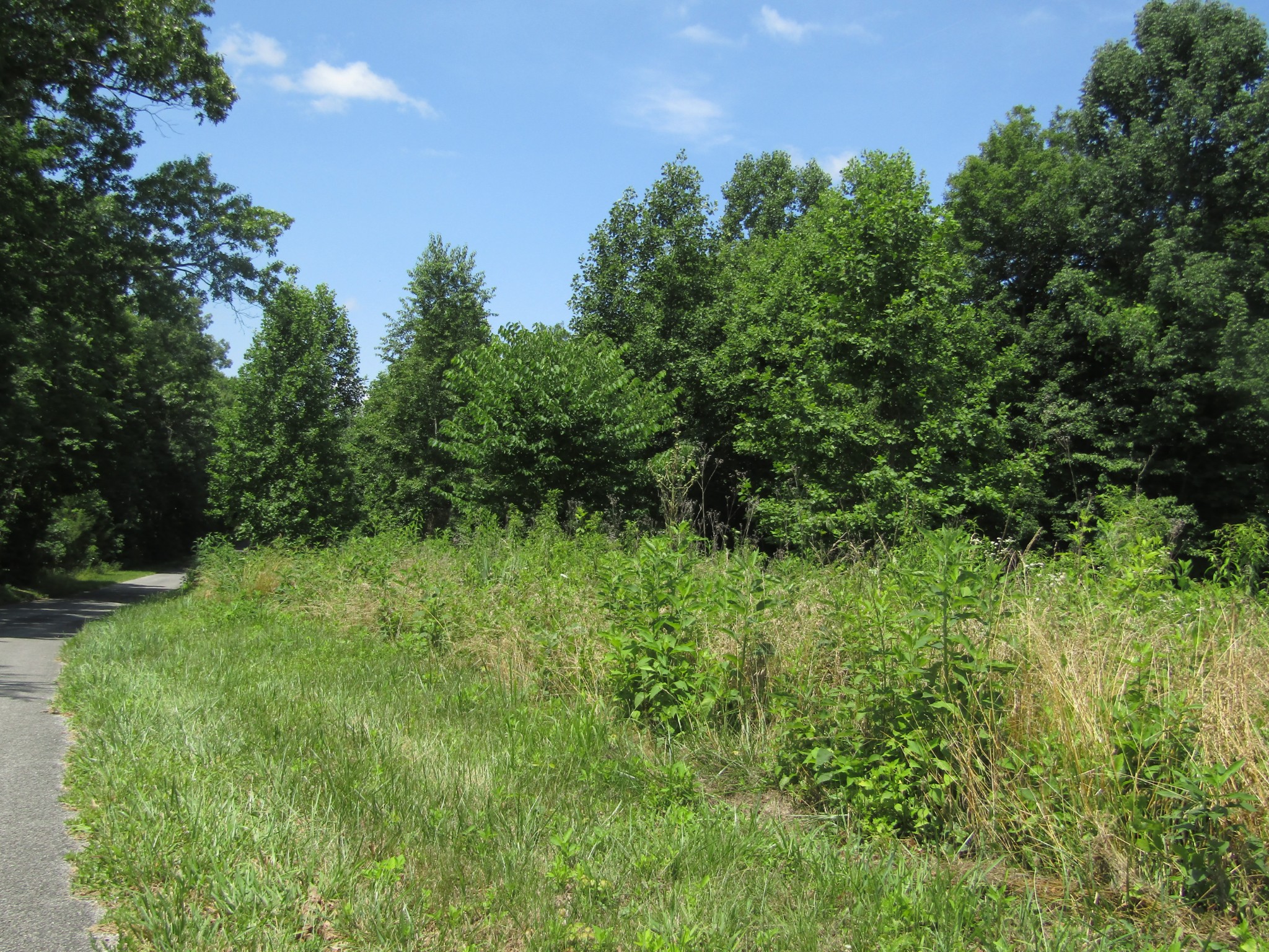 62 Tick Road Hilham, TN 38568 - Photo 2 of 48 Gallery Image 2
