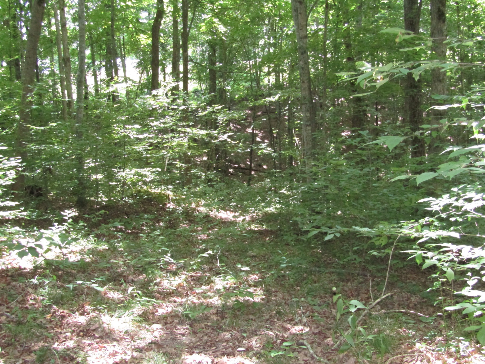 62 Tick Road Hilham, TN 38568 - Photo 15 of 48 Gallery Image 15