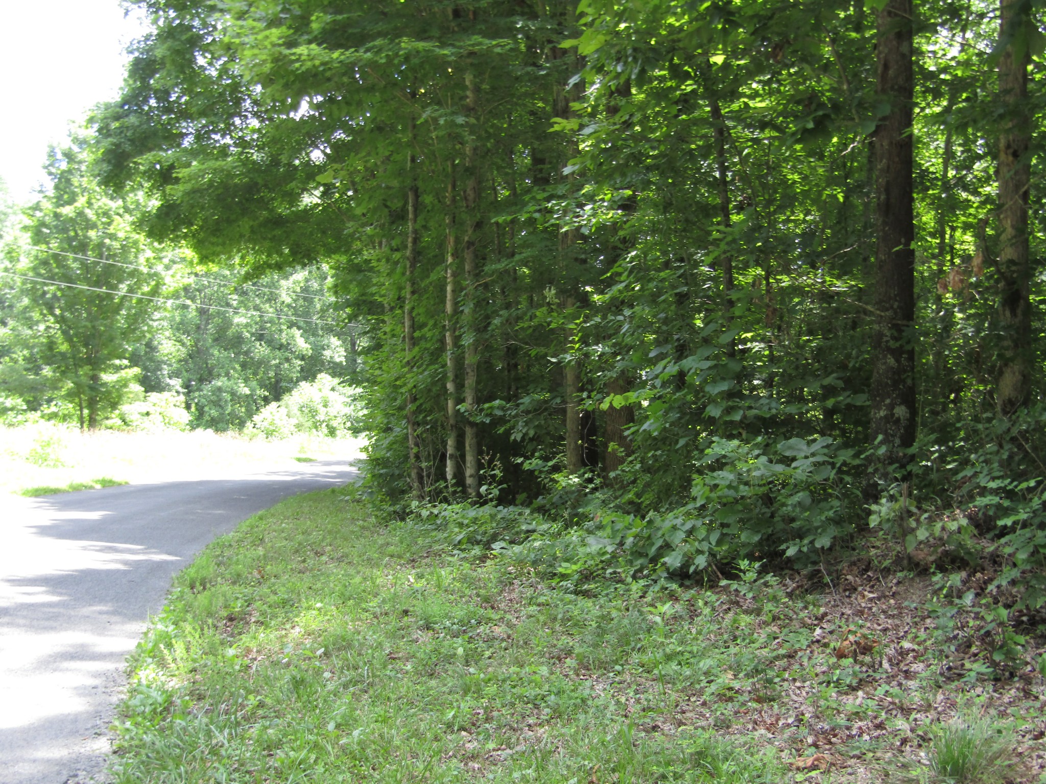 62 Tick Road Hilham, TN 38568 - Photo 19 of 48 Gallery Image 19