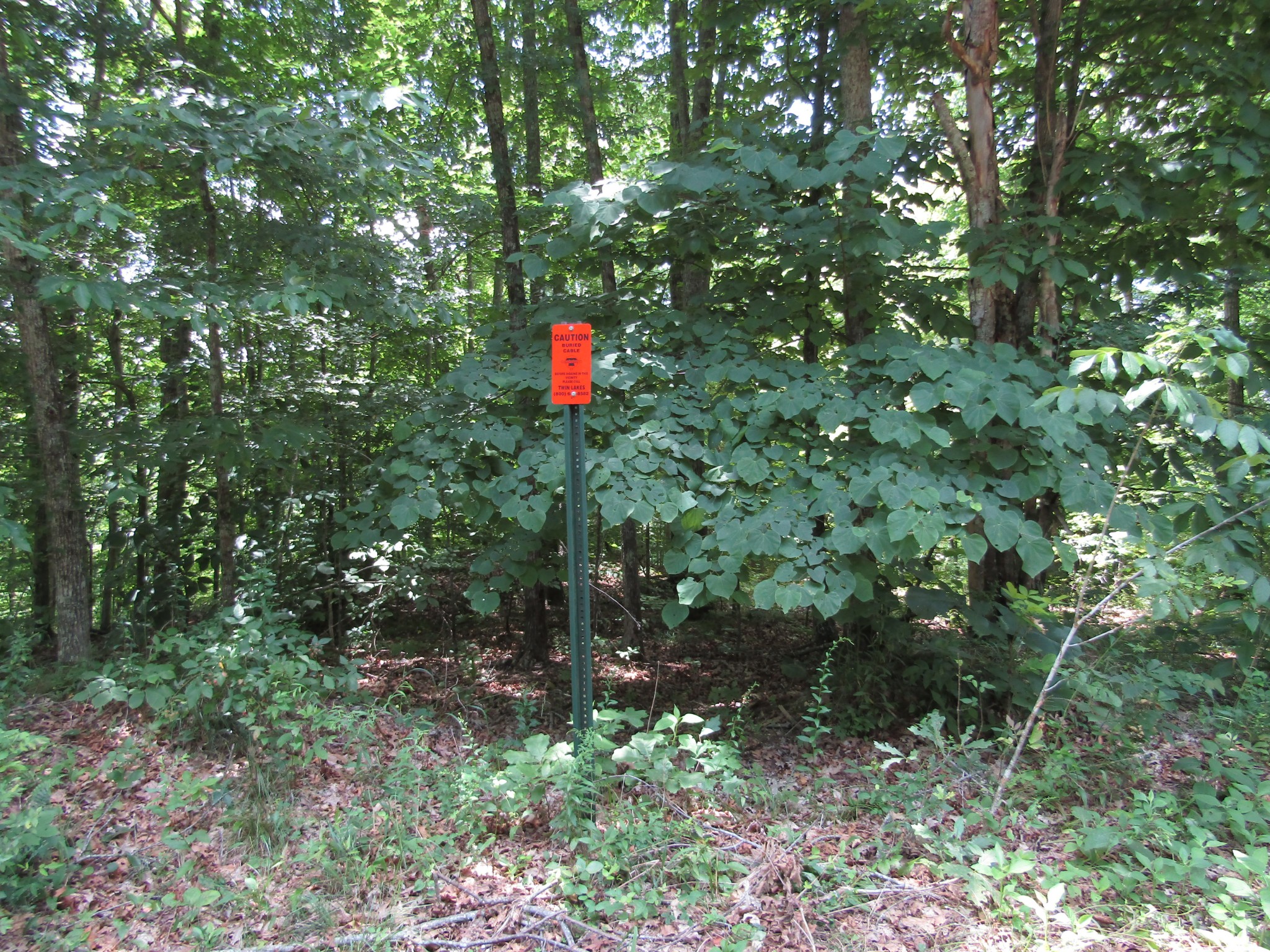 62 Tick Road Hilham, TN 38568 - Photo 22 of 48 Gallery Image 22