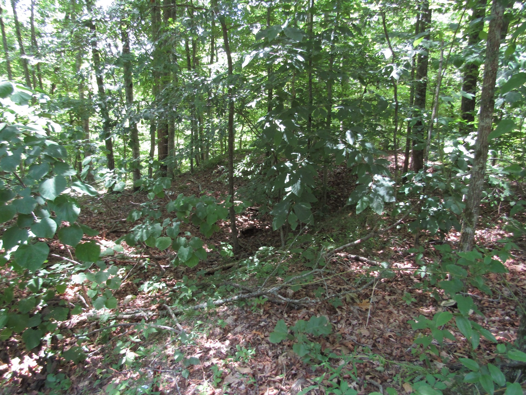 62 Tick Road Hilham, TN 38568 - Photo 23 of 48 Gallery Image 23