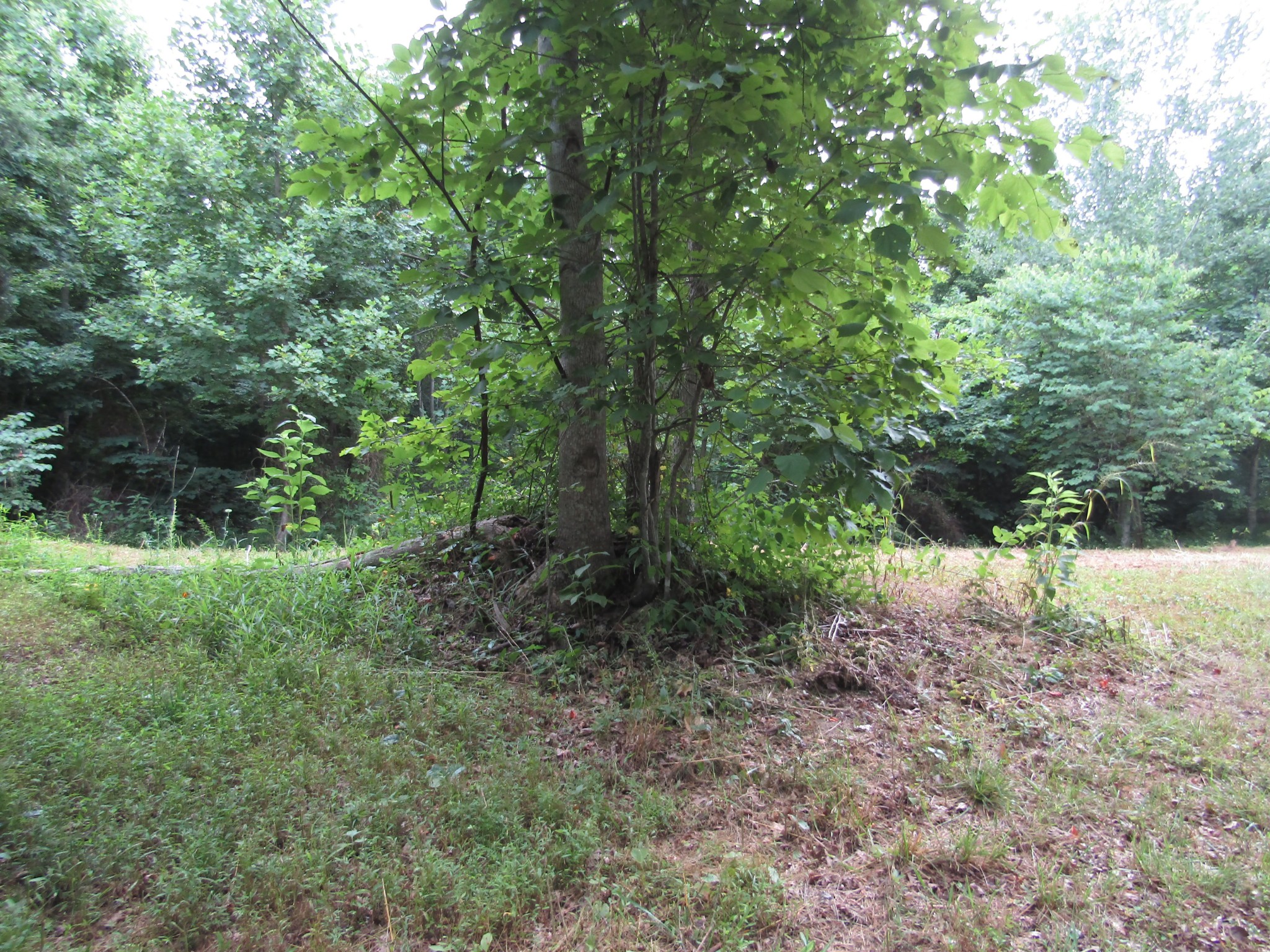 62 Tick Road Hilham, TN 38568 - Photo 30 of 48 Gallery Image 30