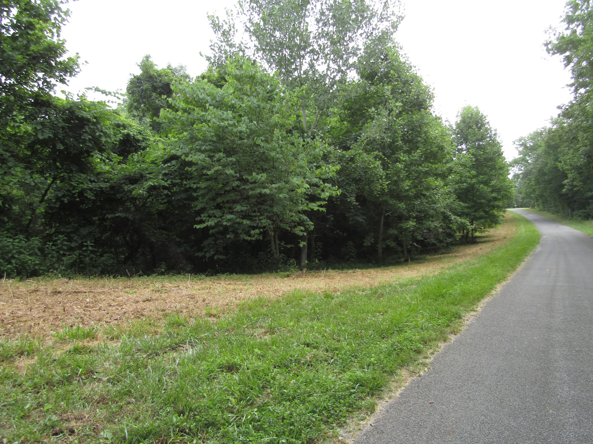 62 Tick Road Hilham, TN 38568 - Photo 31 of 48 Gallery Image 31