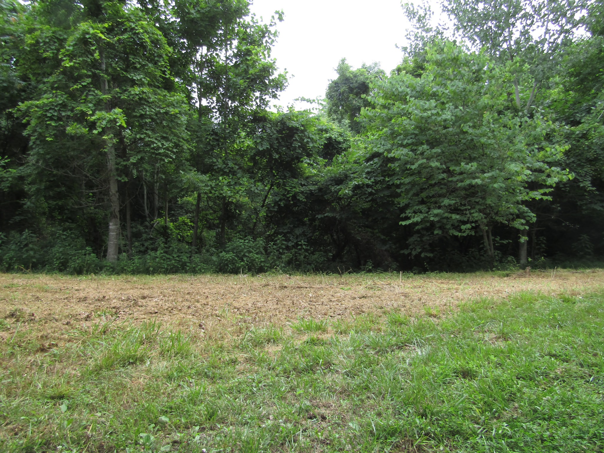 62 Tick Road Hilham, TN 38568 - Photo 32 of 48 Gallery Image 32