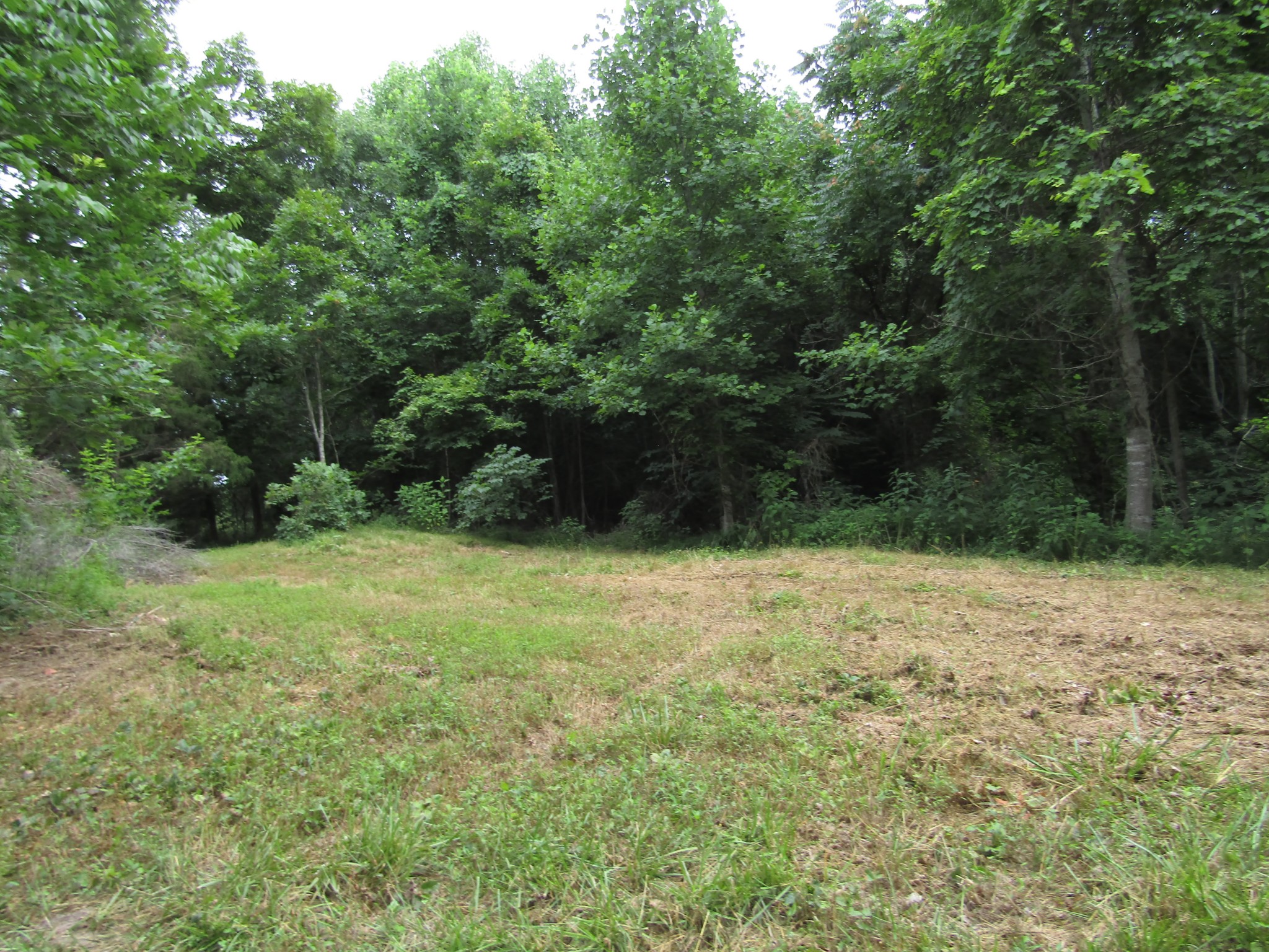 62 Tick Road Hilham, TN 38568 - Photo 33 of 48 Gallery Image 33