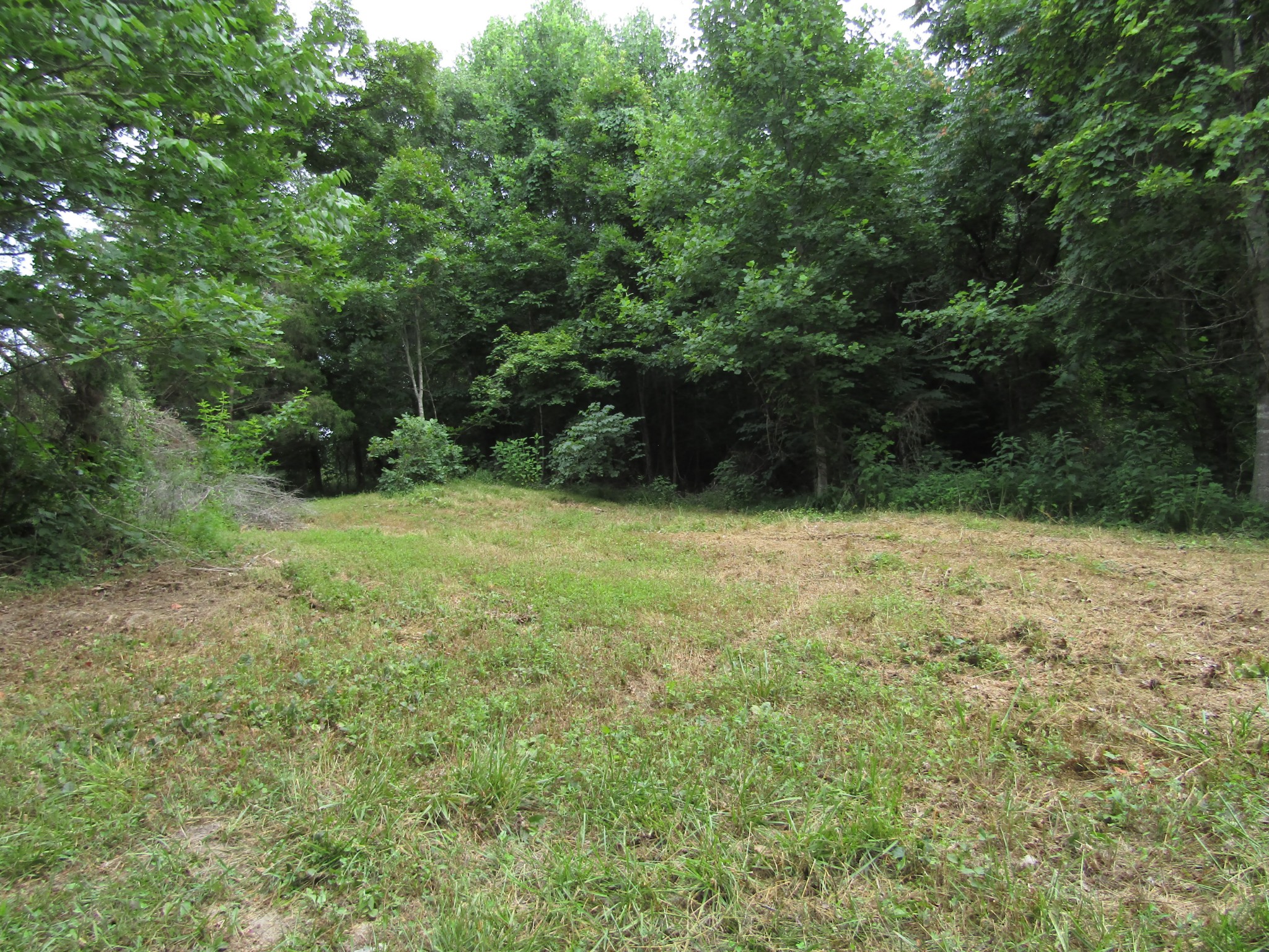 62 Tick Road Hilham, TN 38568 - Photo 34 of 48 Gallery Image 34