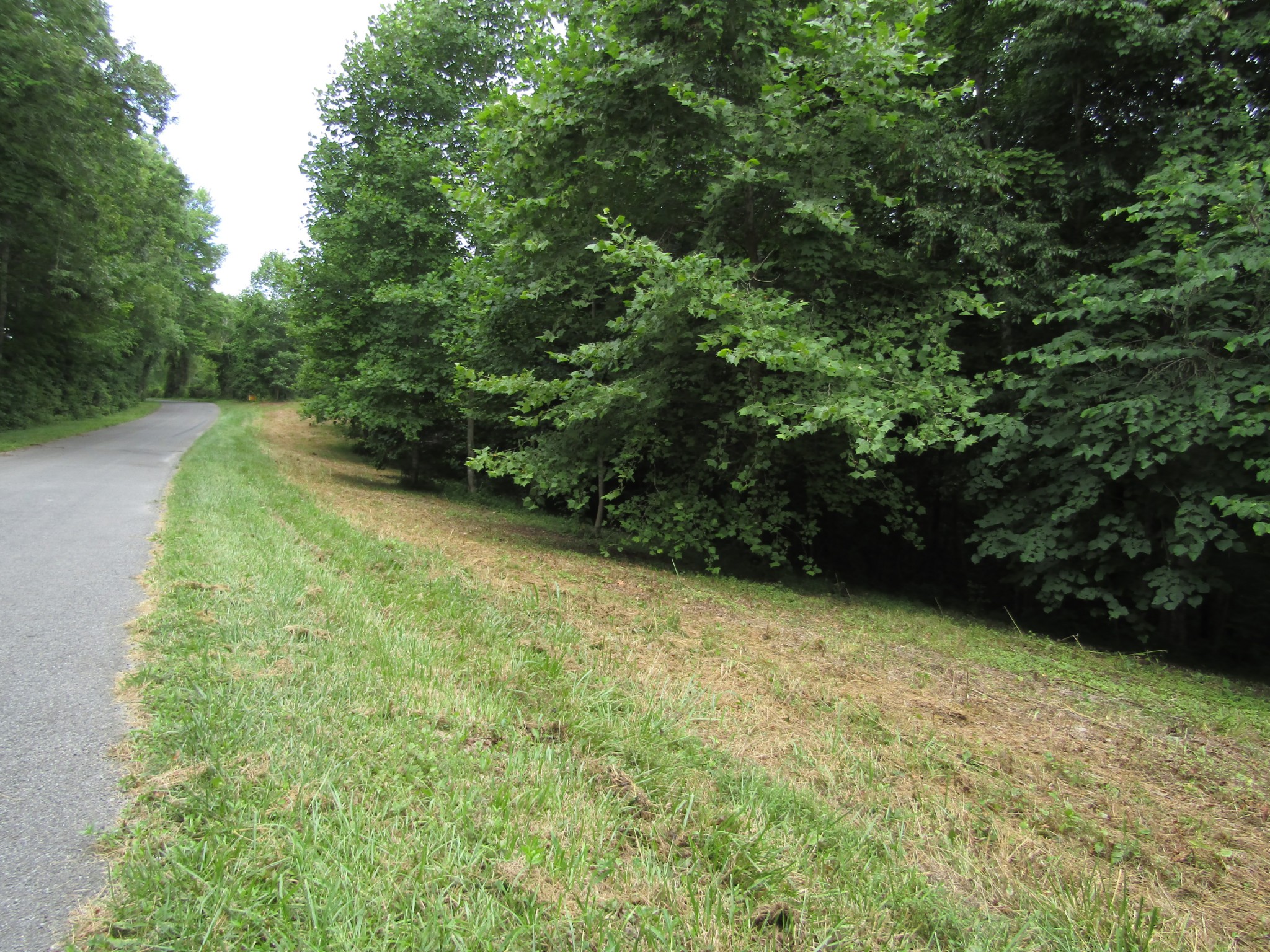 62 Tick Road Hilham, TN 38568 - Photo 36 of 48 Gallery Image 36