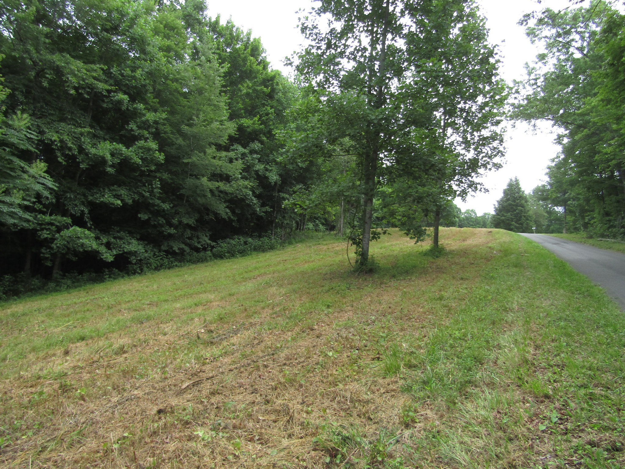 62 Tick Road Hilham, TN 38568 - Photo 37 of 48 Gallery Image 37