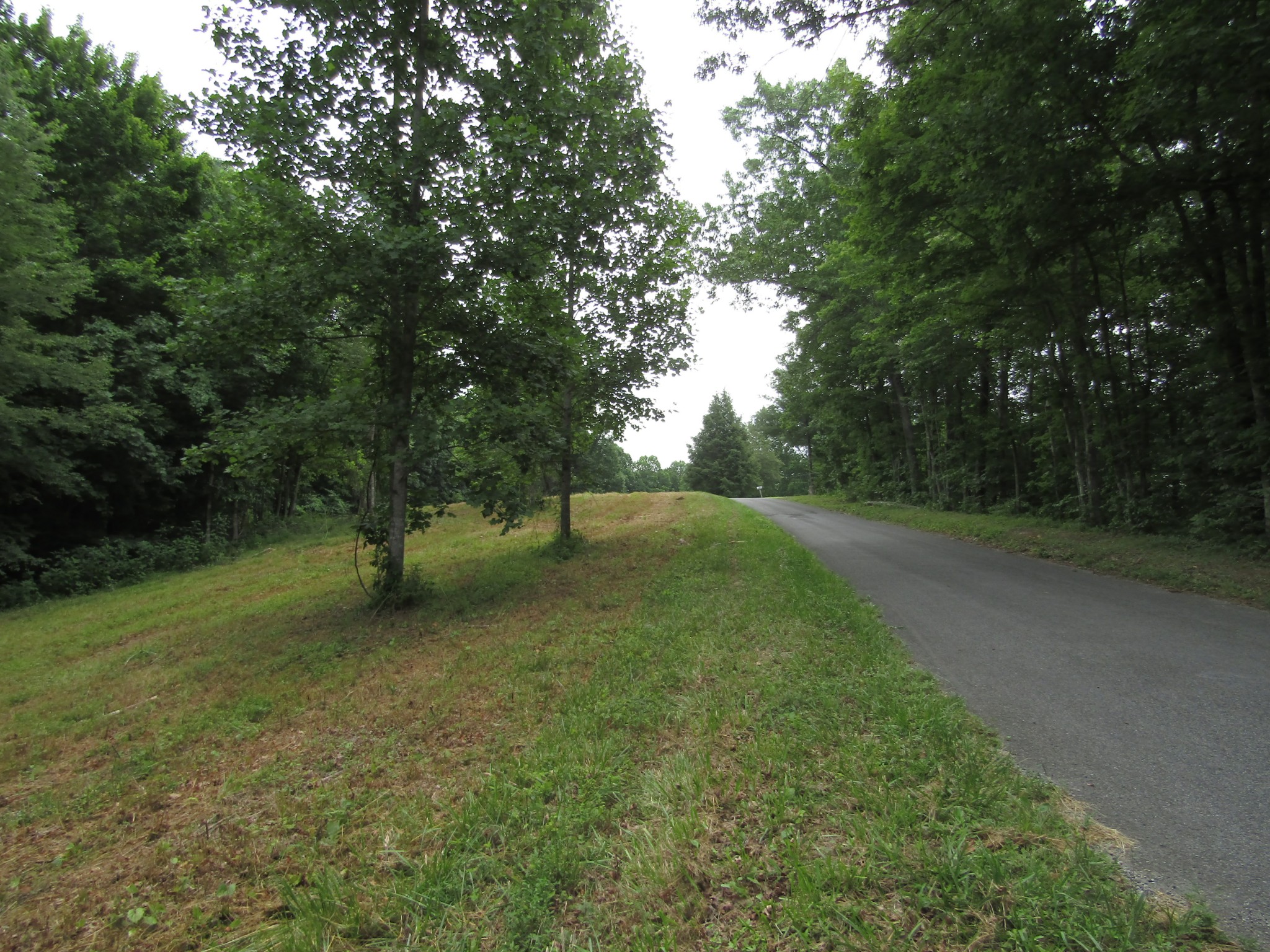 62 Tick Road Hilham, TN 38568 - Photo 38 of 48 Gallery Image 38
