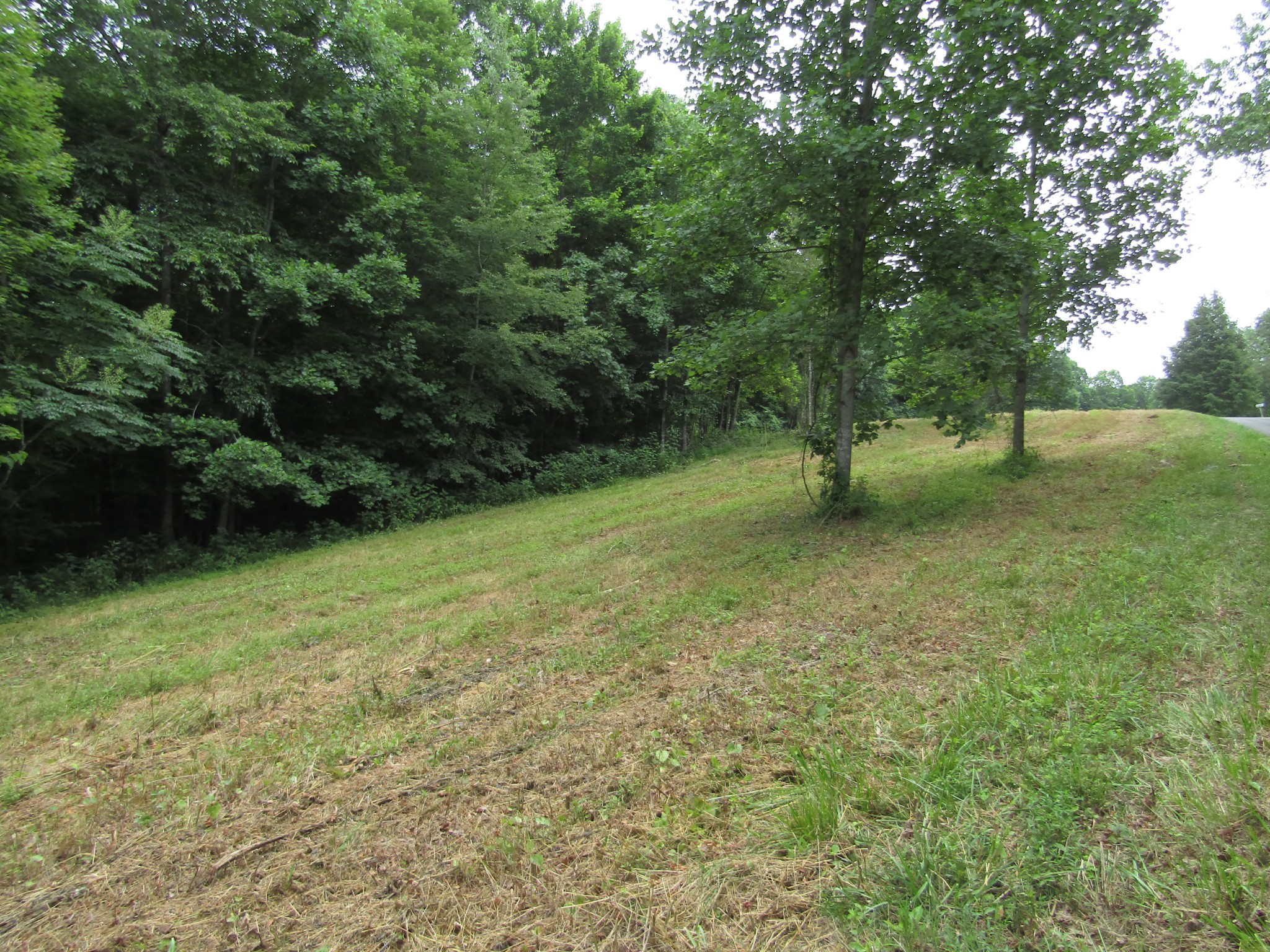 62 Tick Road Hilham, TN 38568 - Photo 39 of 48 Gallery Image 39