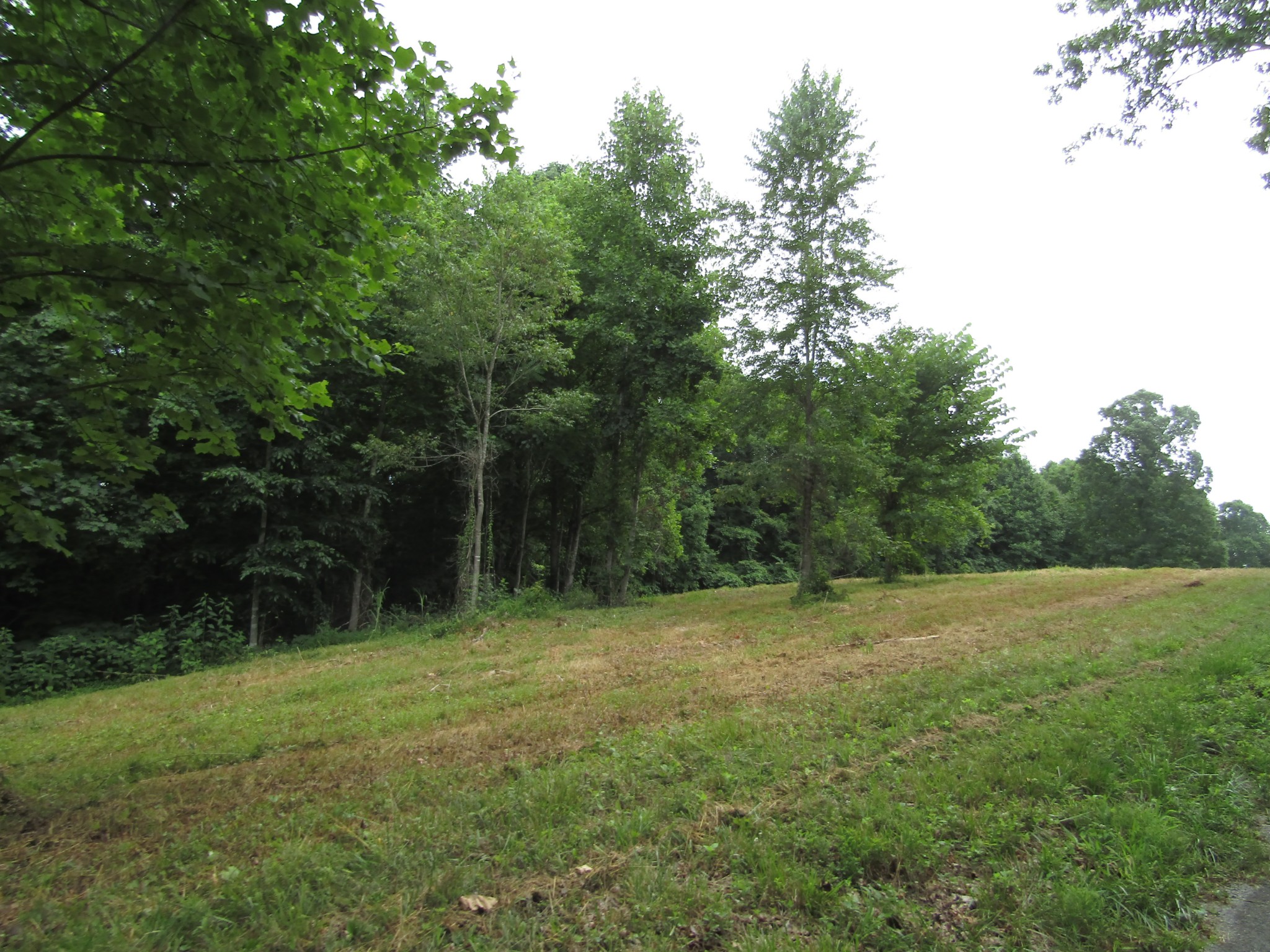 62 Tick Road Hilham, TN 38568 - Photo 40 of 48 Gallery Image 40