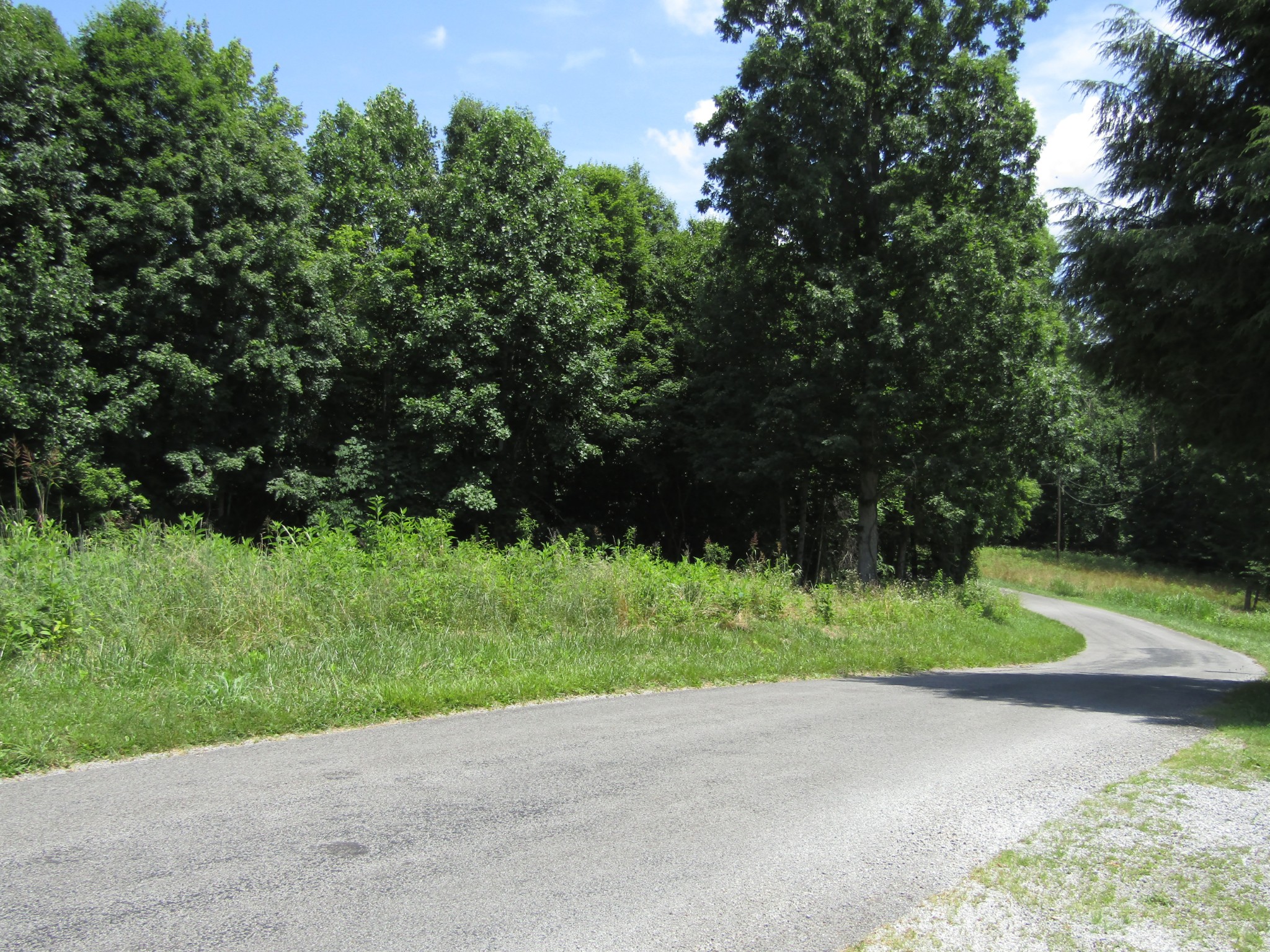 62 Tick Road Hilham, TN 38568 - Photo 5 of 48 Gallery Image 5