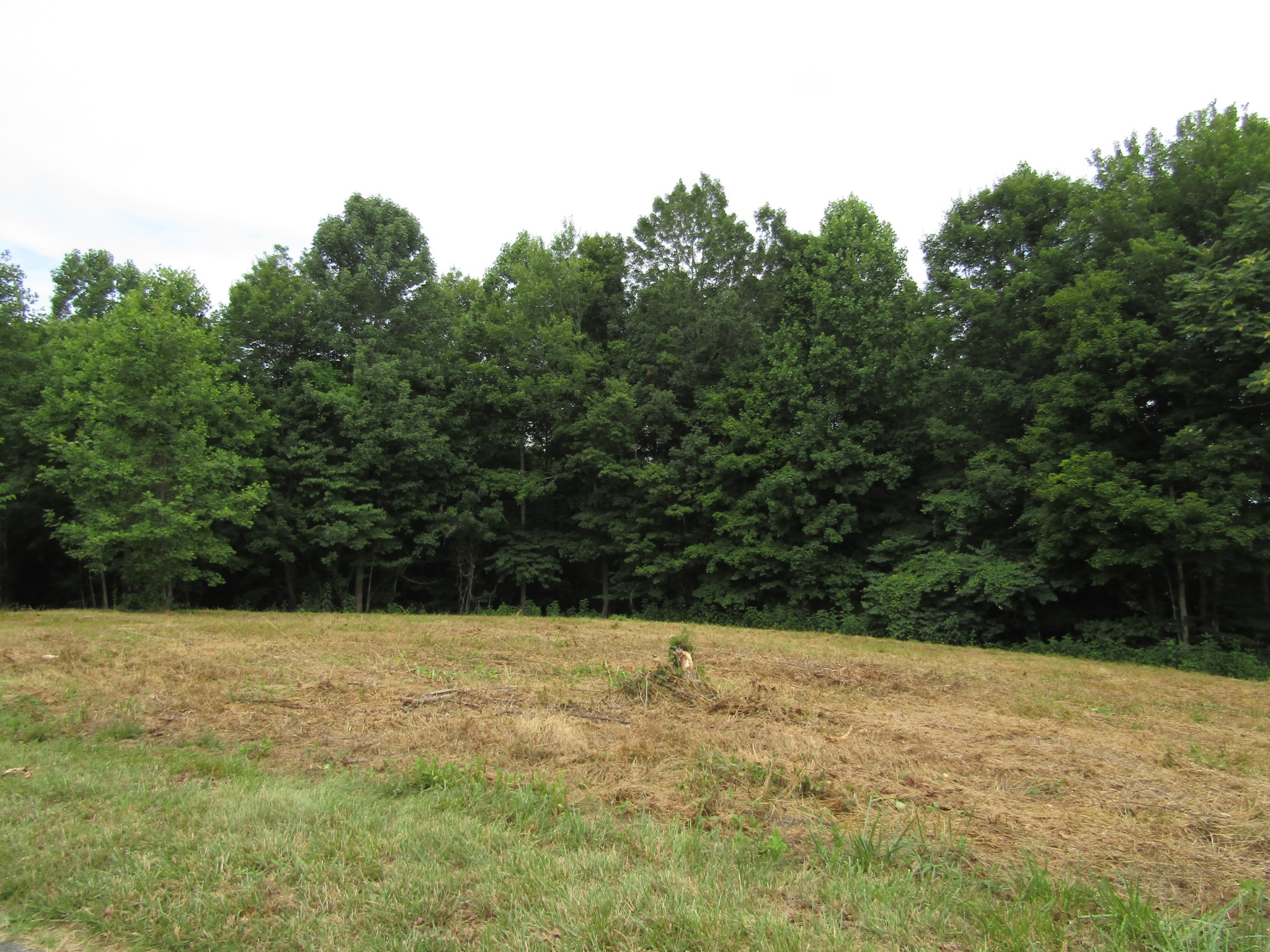 62 Tick Road Hilham, TN 38568 - Photo 41 of 48 Gallery Image 41