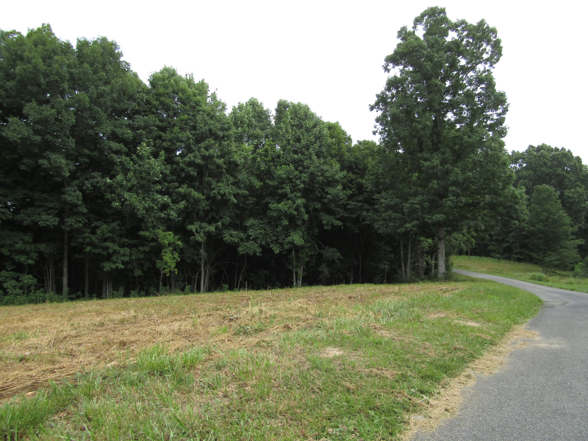 62 Tick Road Hilham, TN 38568 - Photo 43 of 48 Gallery Image 43