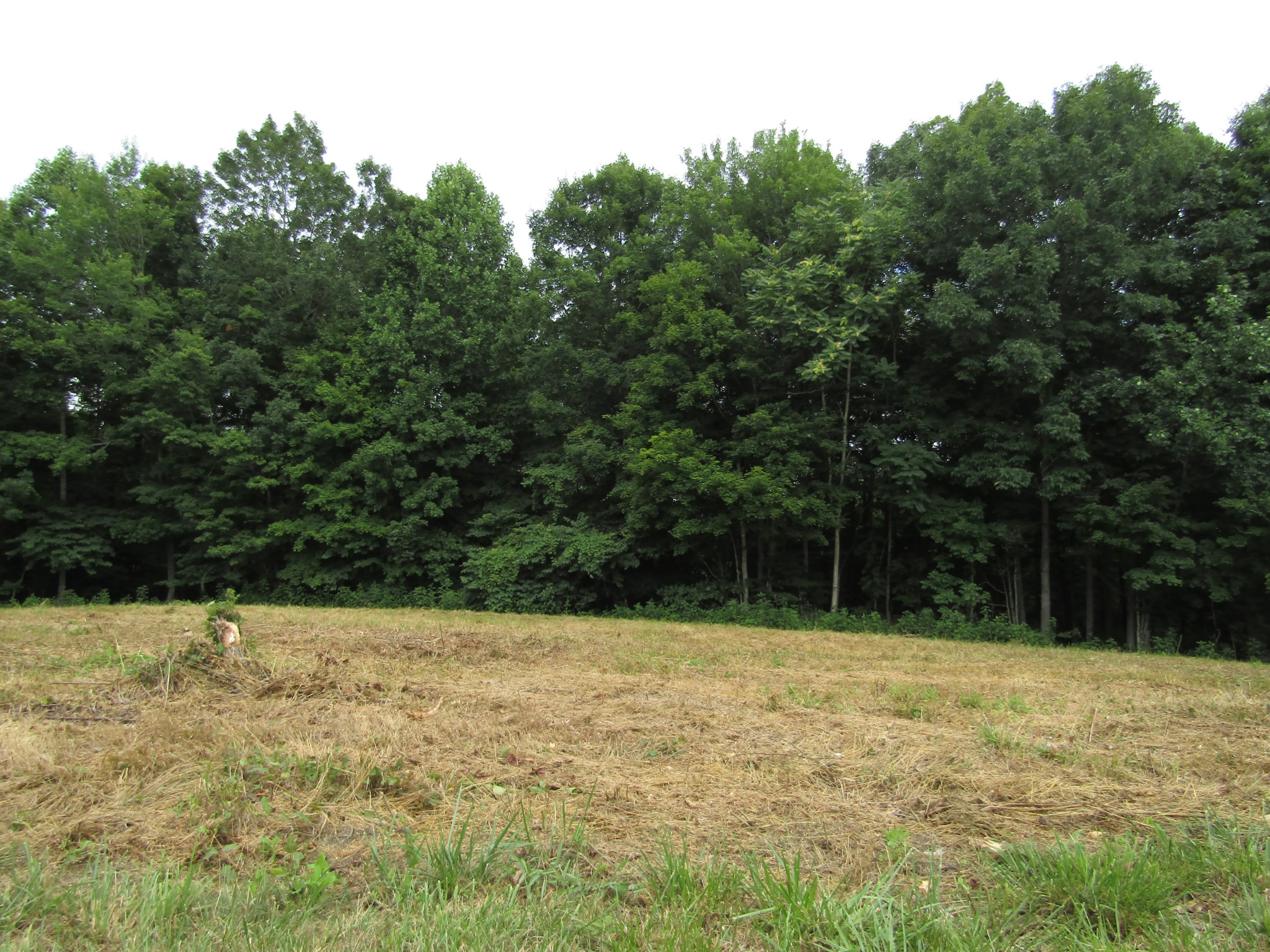 62 Tick Road Hilham, TN 38568 - Photo 44 of 48 Gallery Image 44