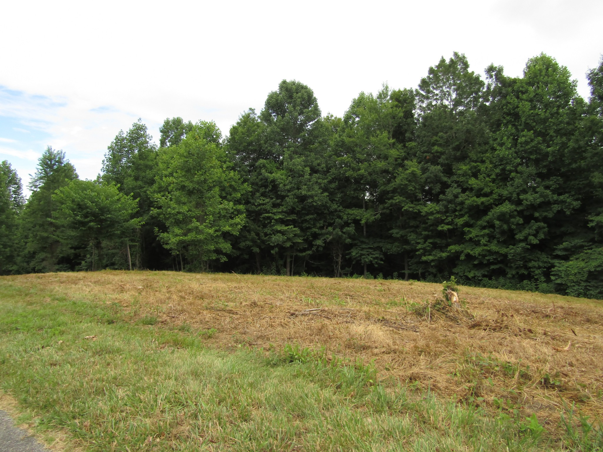 62 Tick Road Hilham, TN 38568 - Photo 45 of 48 Gallery Image 45