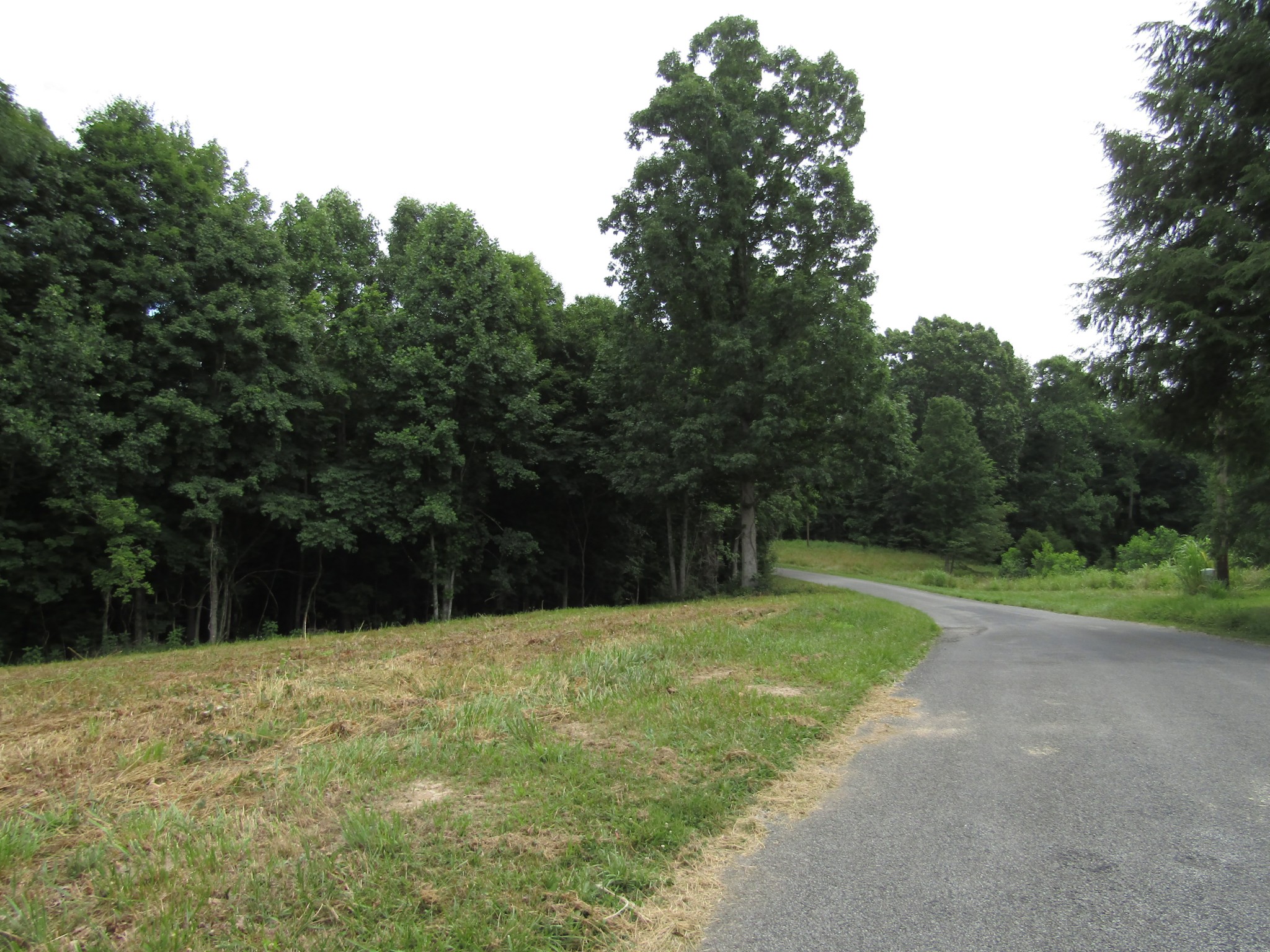 62 Tick Road Hilham, TN 38568 - Photo 46 of 48 Gallery Image 46