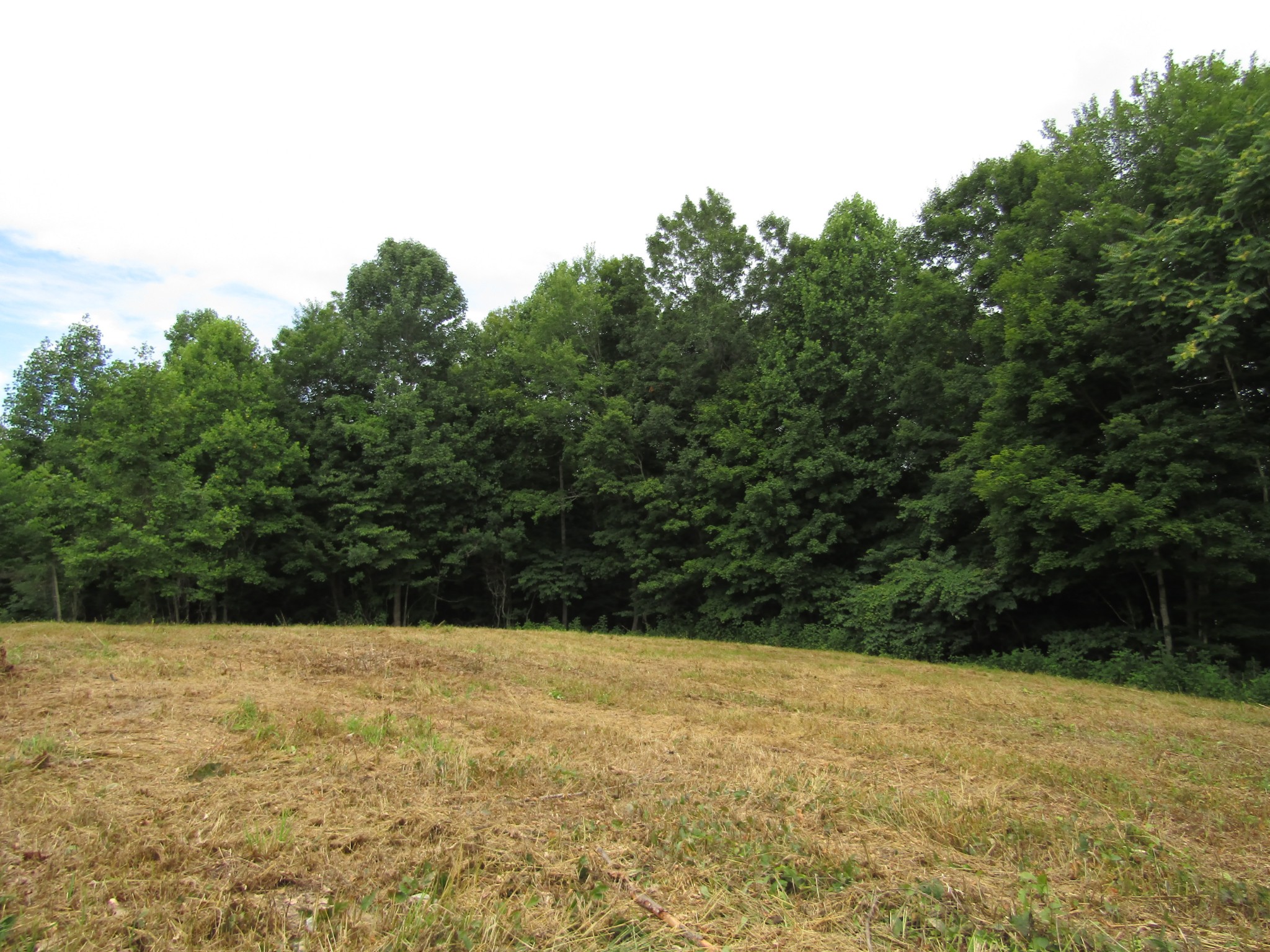 62 Tick Road Hilham, TN 38568 - Photo 47 of 48 Gallery Image 47