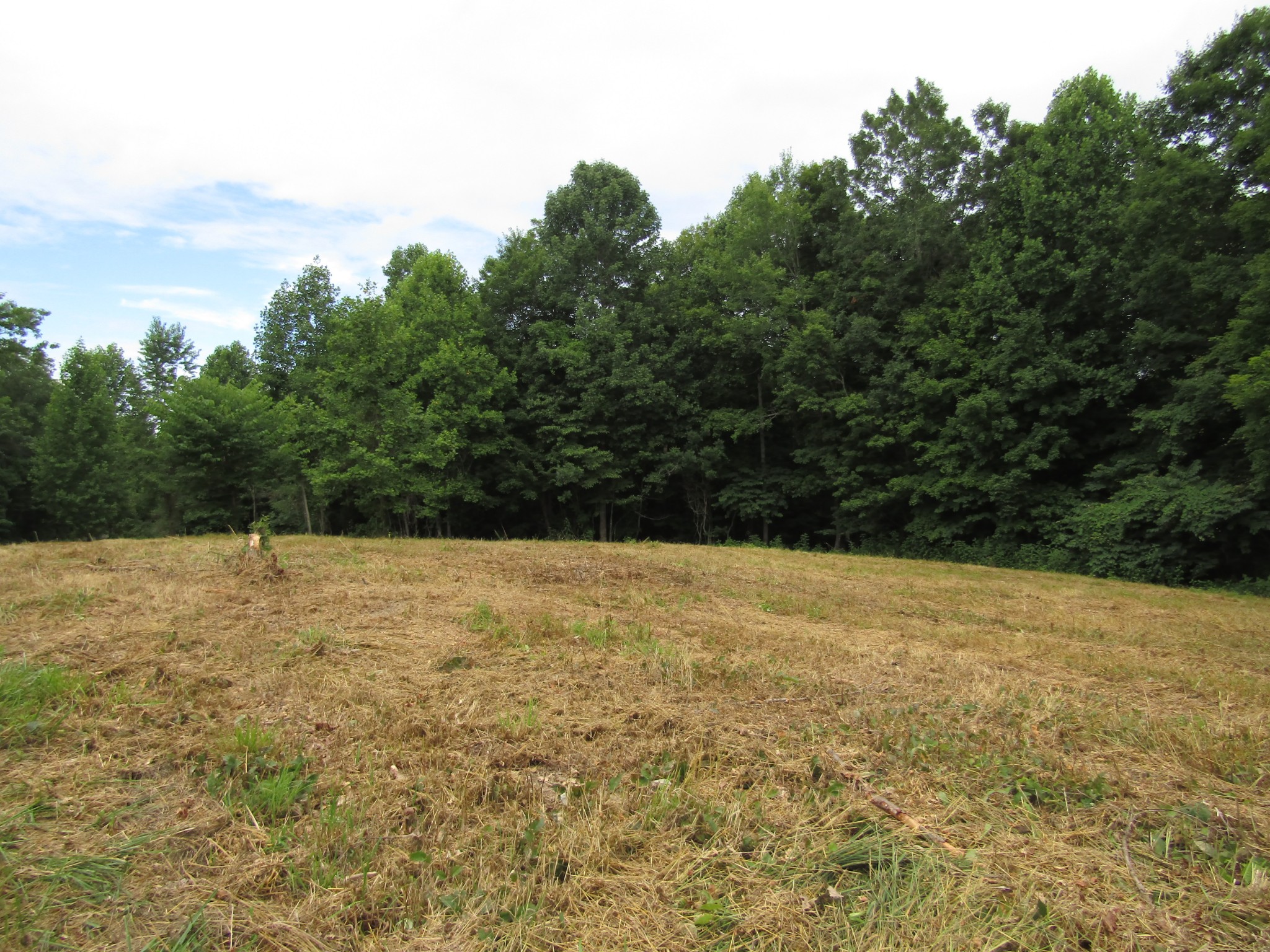 62 Tick Road Hilham, TN 38568 - Photo 48 of 48 Gallery Image 48