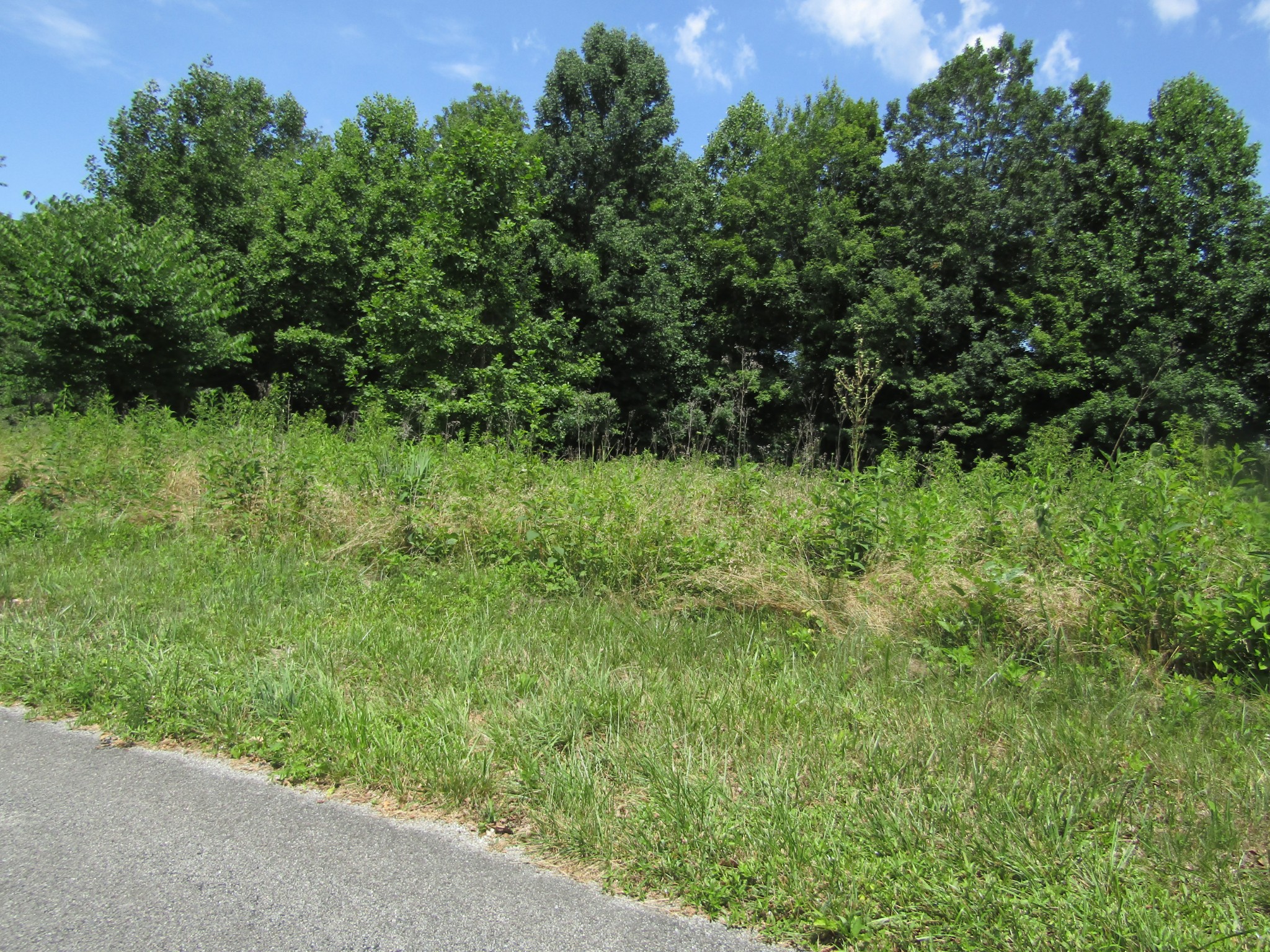 62 Tick Road Hilham, TN 38568 - Photo 7 of 48 Gallery Image 7