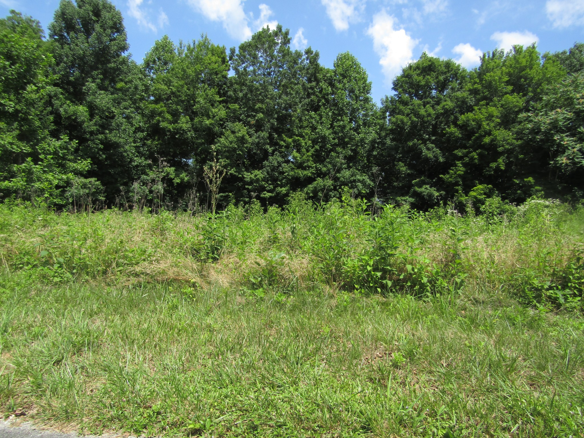 62 Tick Road Hilham, TN 38568 - Photo 8 of 48 Gallery Image 8