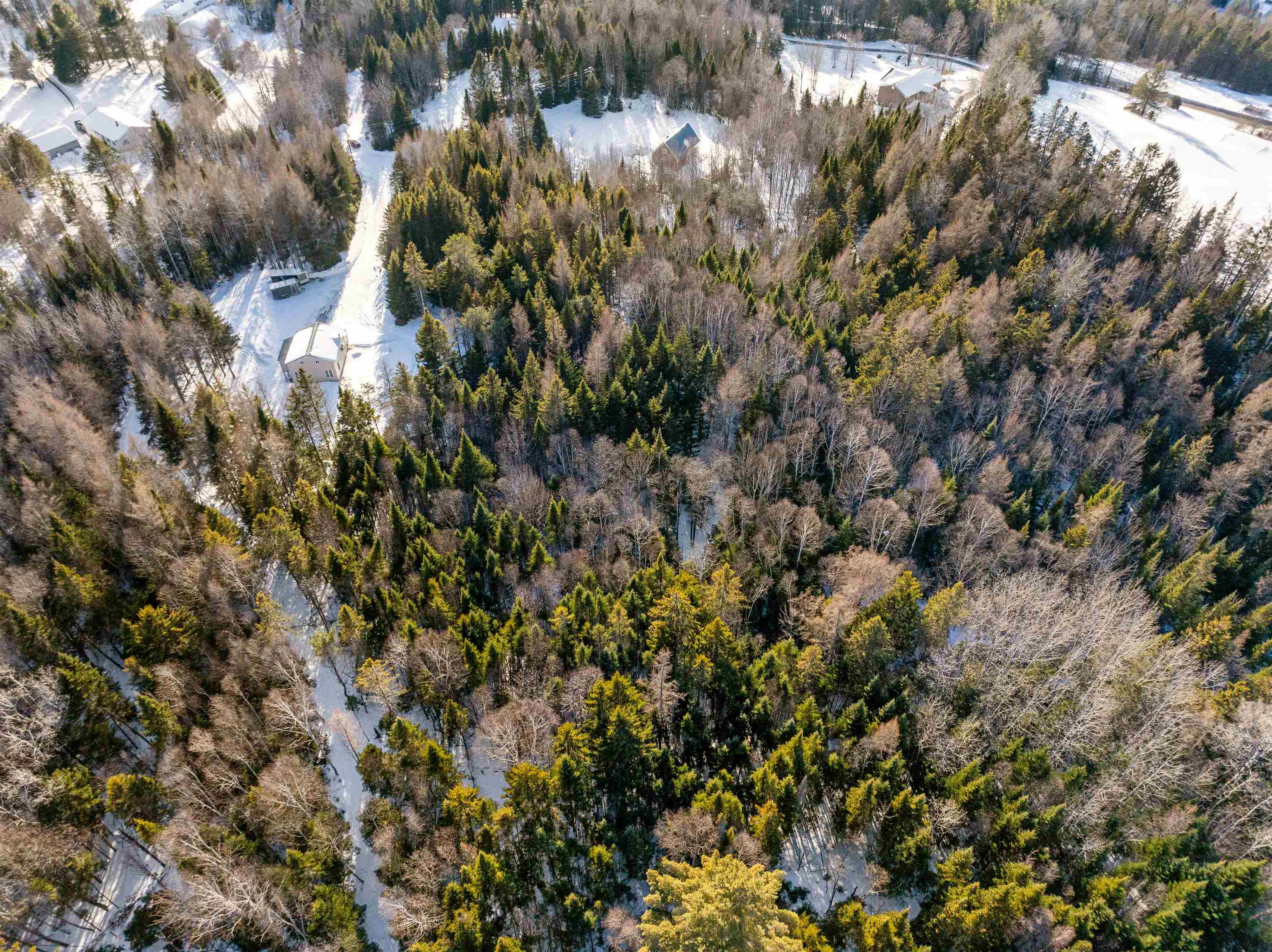 Lot #10 Mackinnon Road Colebrook, NH 03576 - Photo 25 of 30