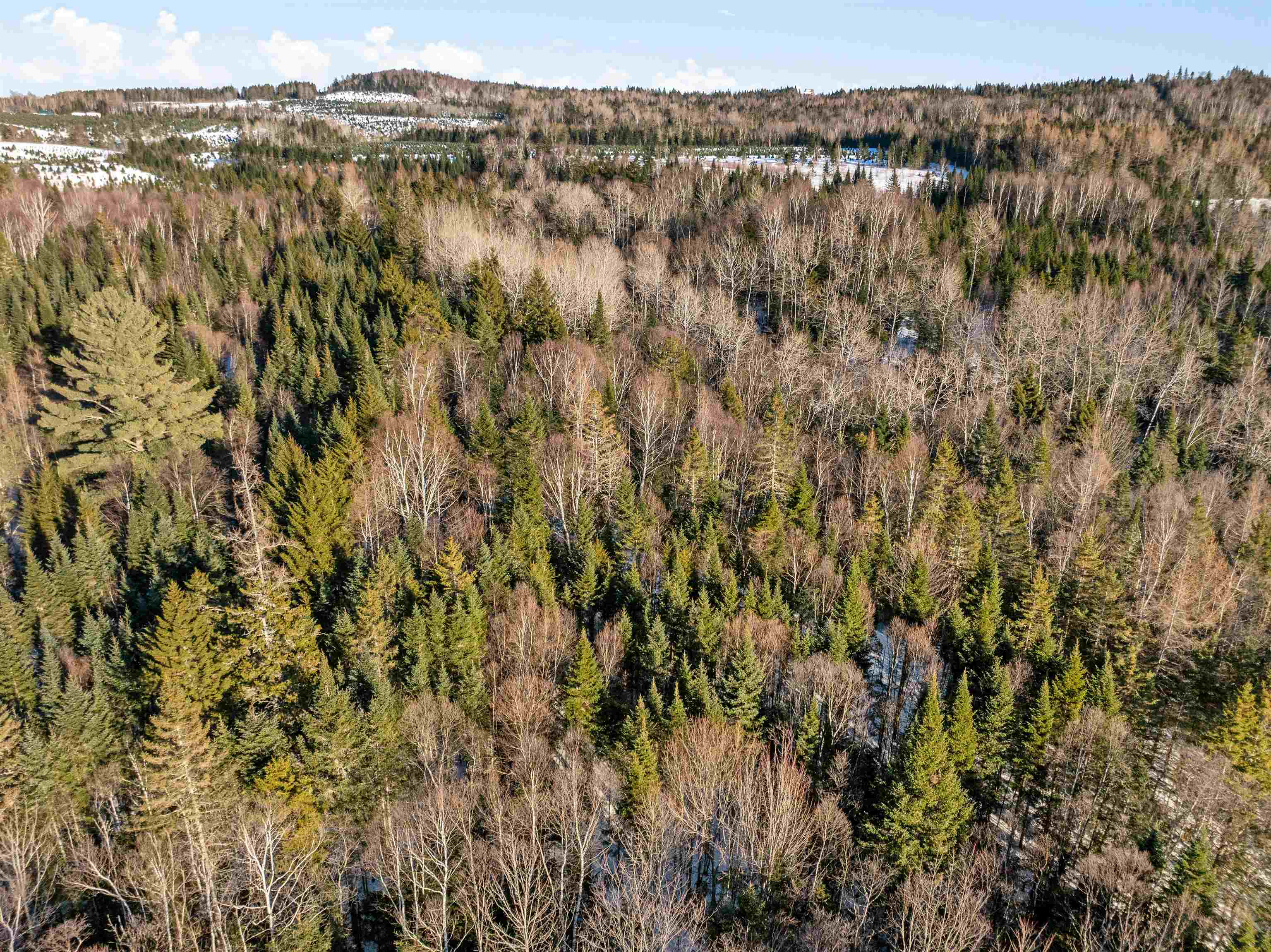 Lot #10 Mackinnon Road Colebrook, NH 03576 - Photo 7 of 30