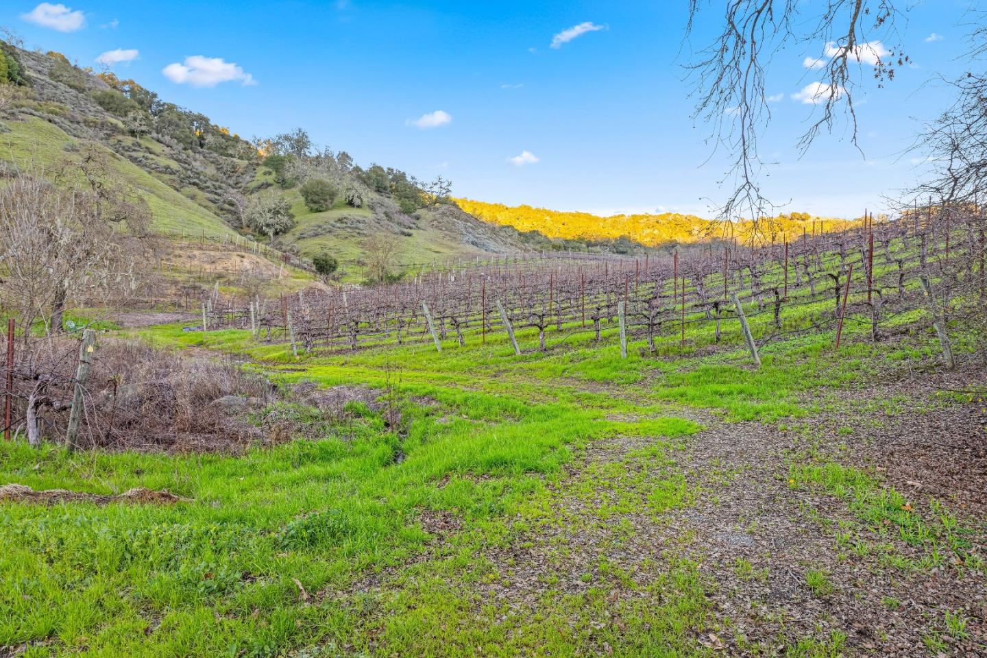 6915 Redwood Retreat Road Gilroy, CA 95020 - Photo 71 of 110