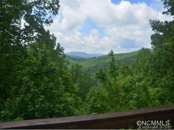 225 Sunny Ridge Road Hendersonville, NC 28739 - Photo 3 of 24