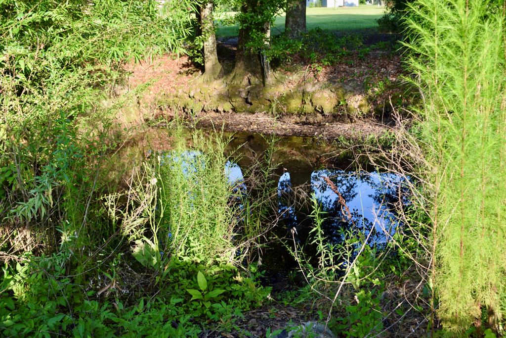 7252 County Road 49 Slocomb, AL 36375 - Photo 41 of 75