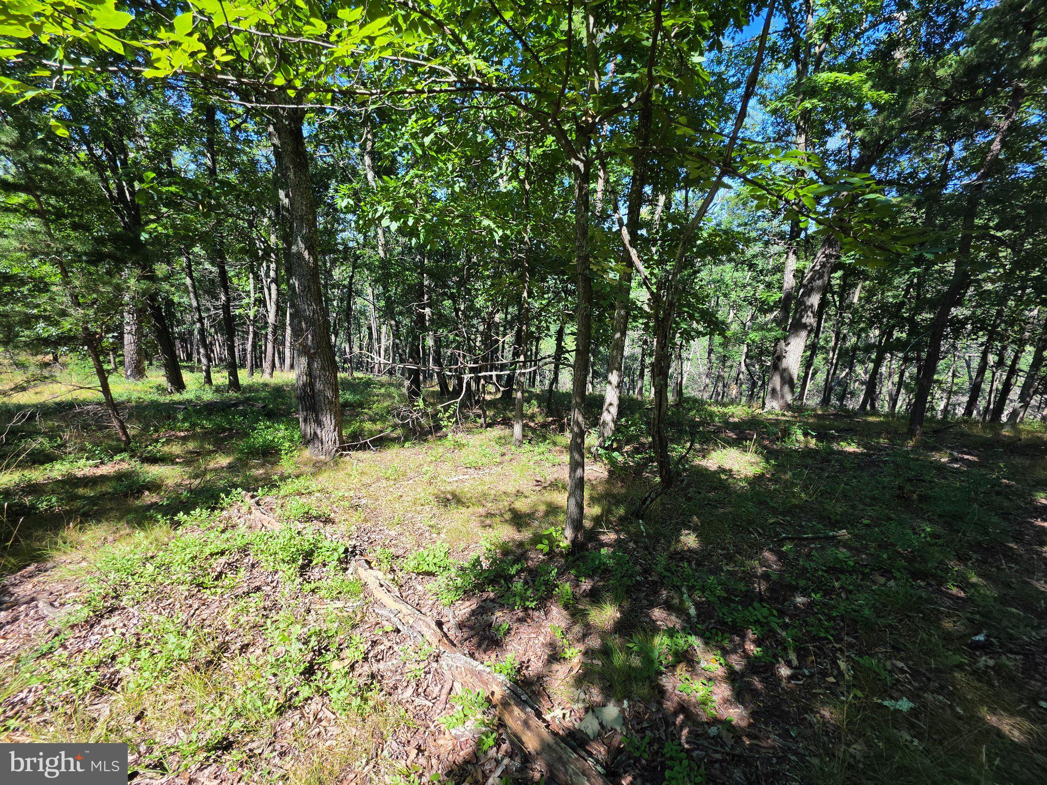 Lot 75 Hunters Rdg Trail Milam, WV 26838 - Photo 23 of 49 Gallery Image 23