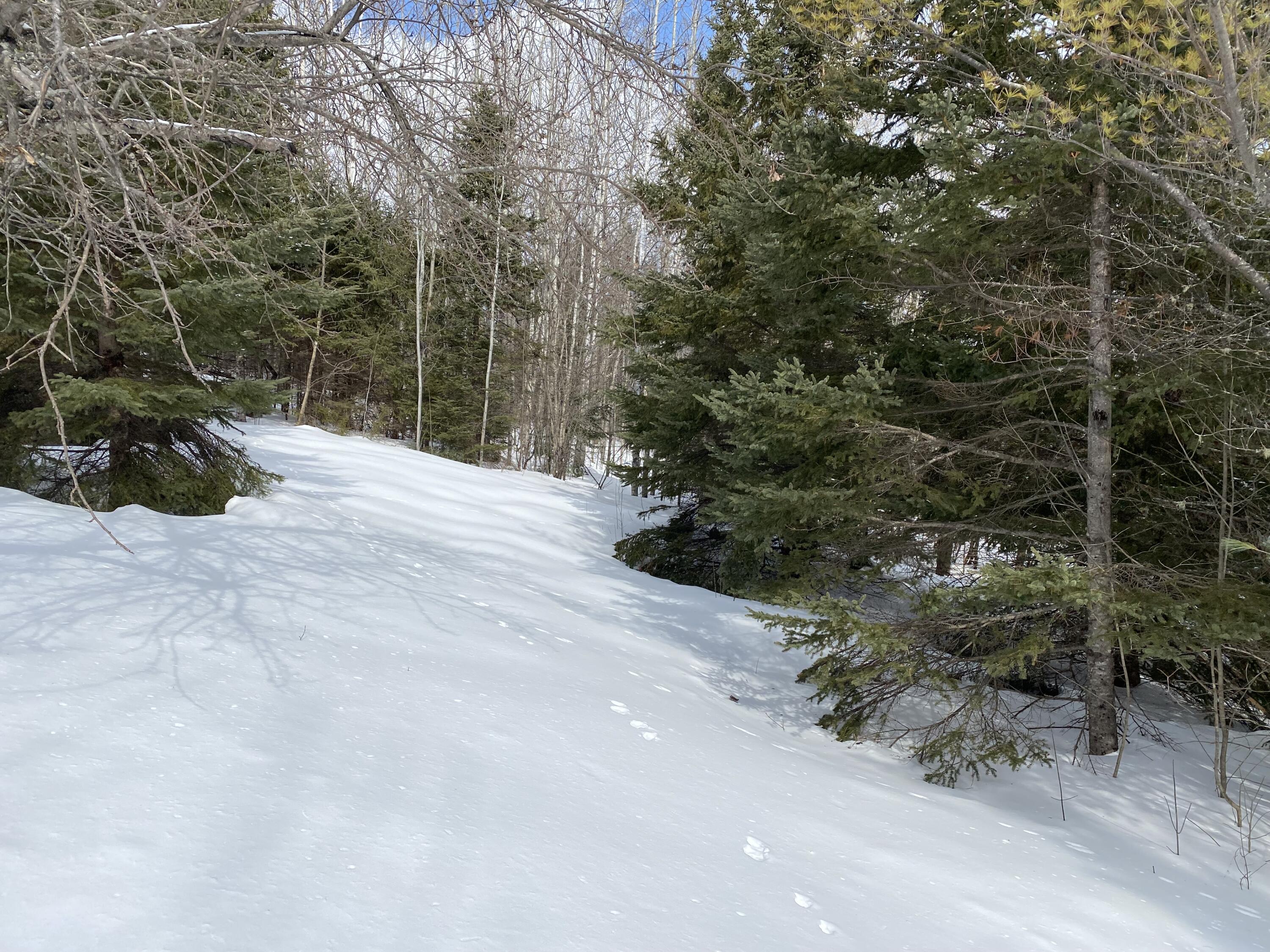 749 Pulcifur Road Mapleton, ME 04757 - Photo 57 of 65 IMG_9651